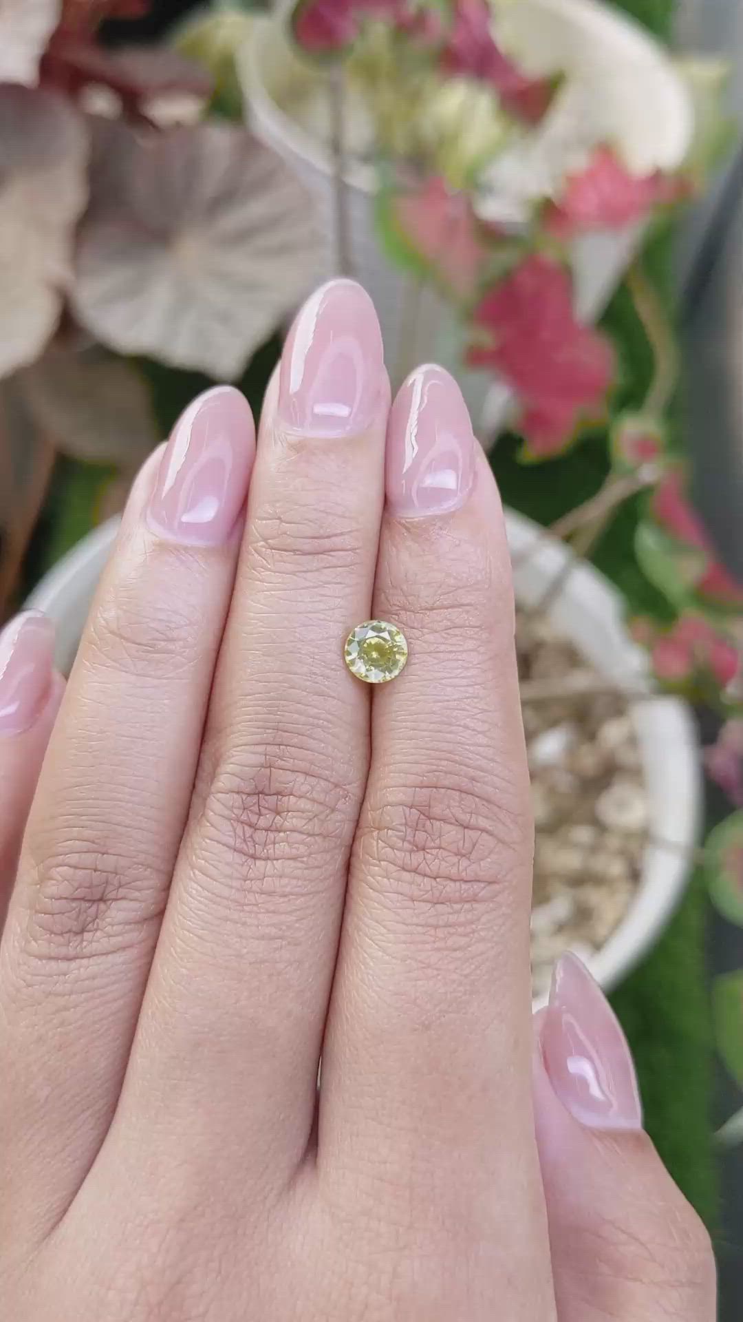 1.08 Ct. Greenish Yellow Zircon from Ceylon (Sri Lanka) Size Video