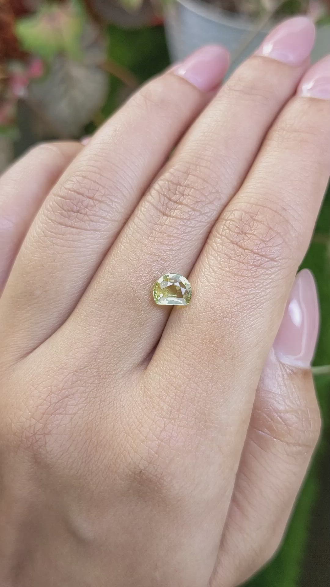1.20 Ct. Yellowish Green Chrysoberyl from Ceylon (Sri Lanka) Size Video