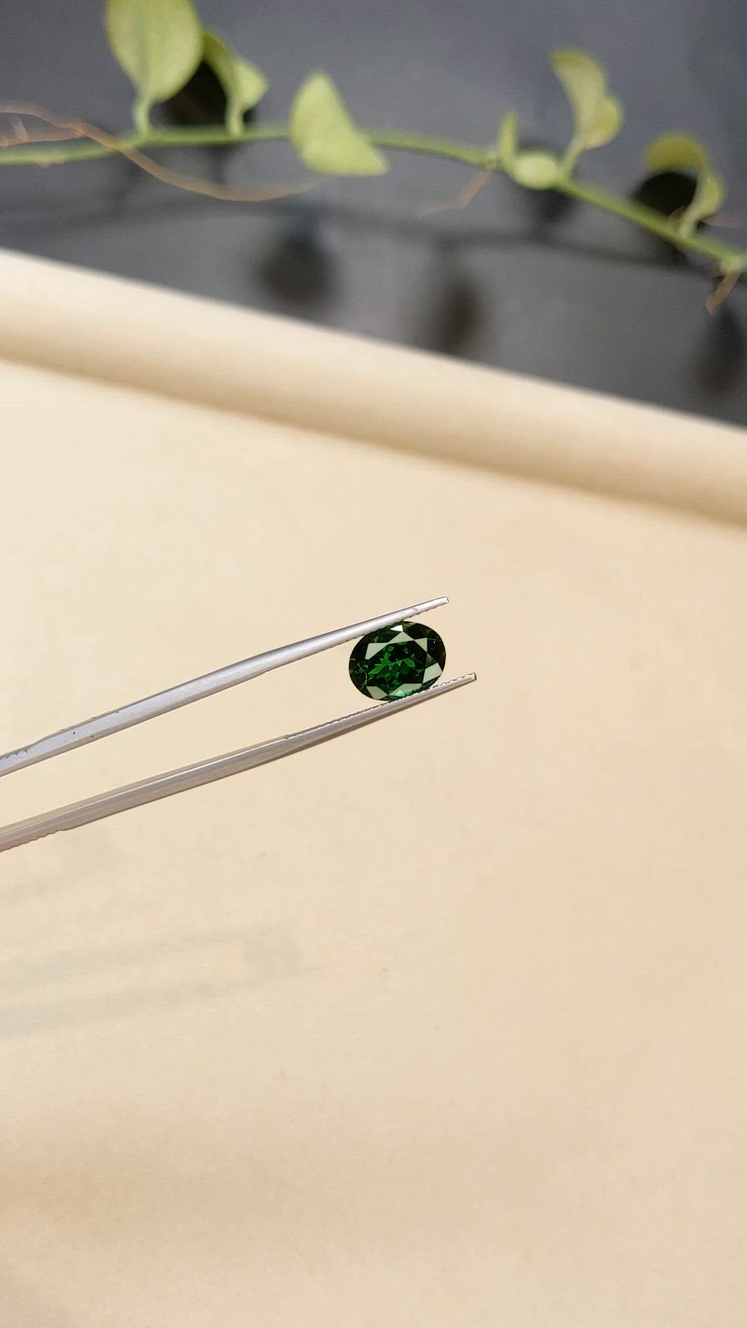 2.71 Ct. Tsavorite Garnet from Tanzania Size Video