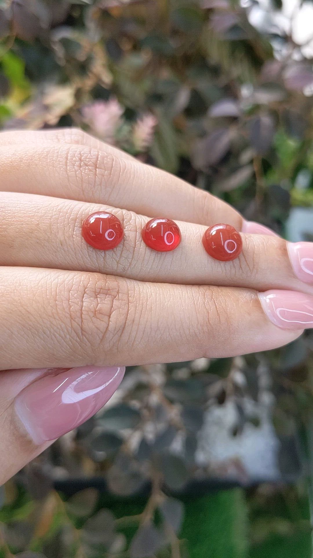 5.24 Ct. Oxblood (Red) Coral from Italy Size Video