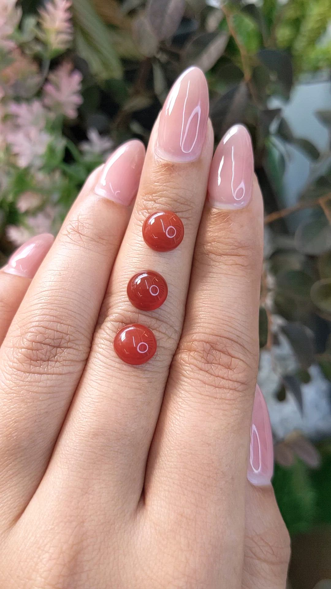 5.24 Ct. Oxblood (Red) Coral from Italy Size Video