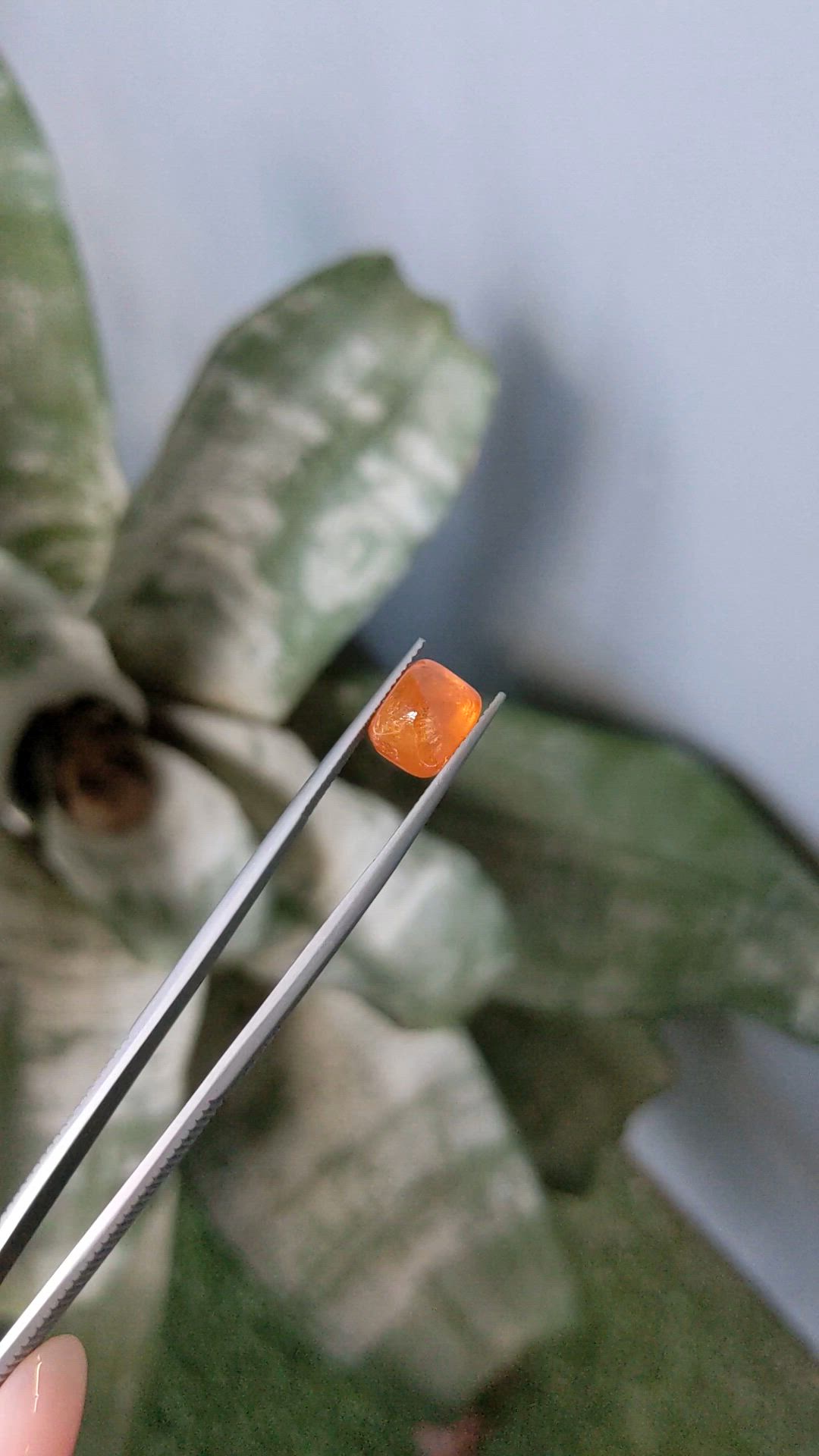 6.87 Ct. Orange Cabochon Spessartite Garnet from Nigeria Size Video