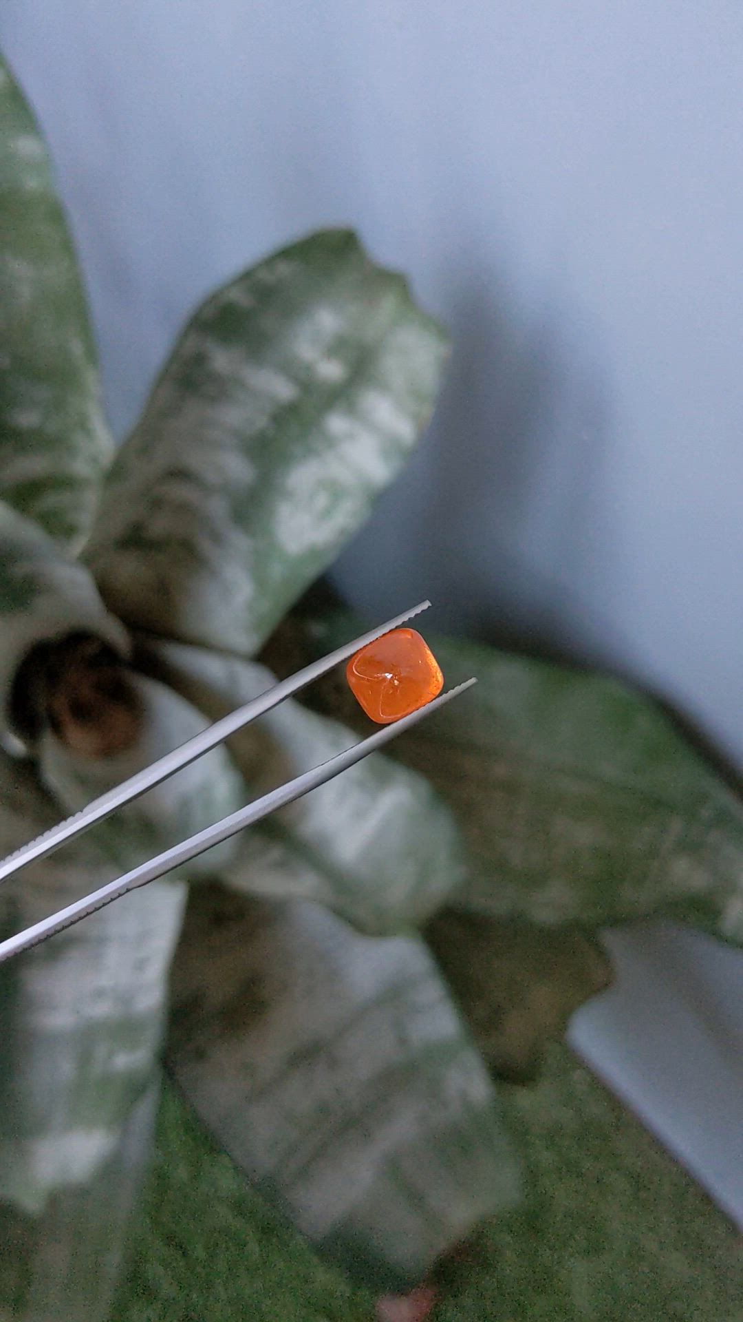 7.95 Ct. Orange Cabochon Spessartite Garnet from Nigeria Size Video