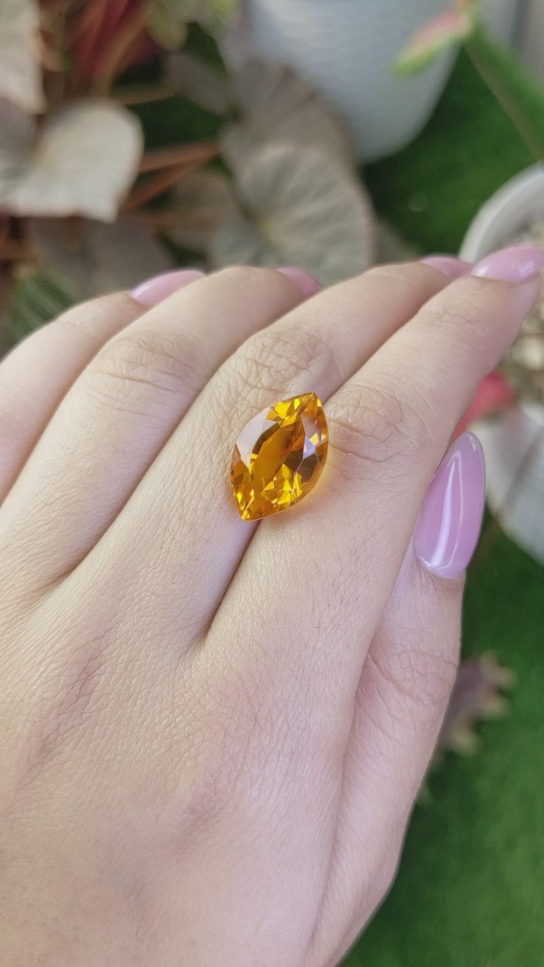 8.73 Ct. Yellowish Orange Citrine from Ceylon (Sri Lanka) Size Video