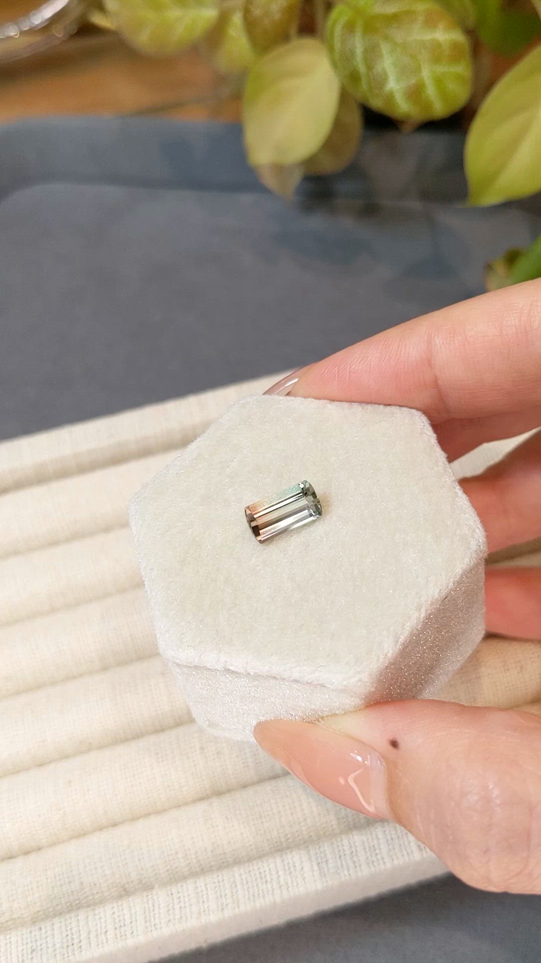 2.07 Ct. Watermelon Tourmaline from Brazil Size Video