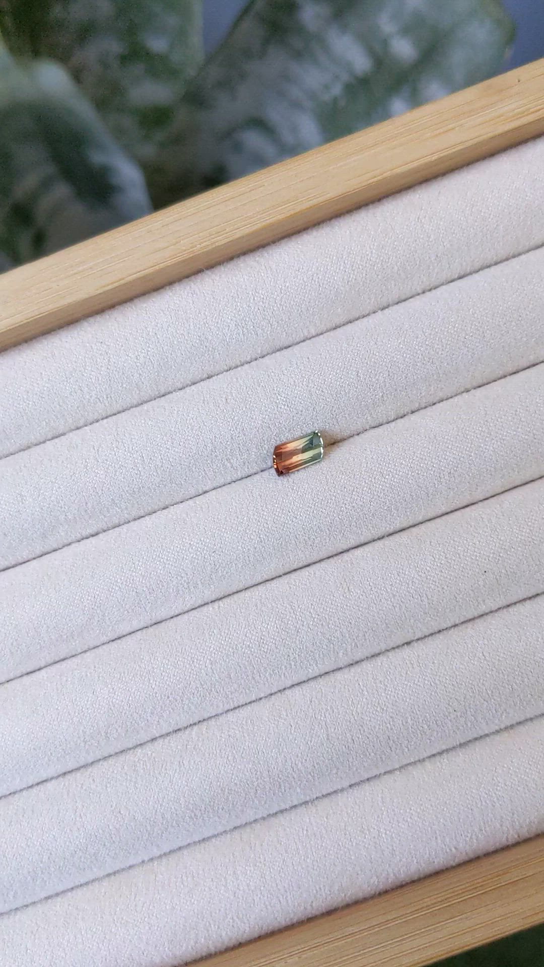 1.12 Ct. Bi Color Tourmaline from Brazil Size Video