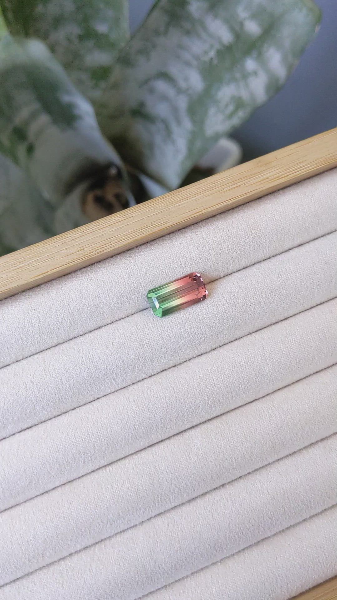 4.30 Ct. Watermelon Tourmaline from Brazil Size Video