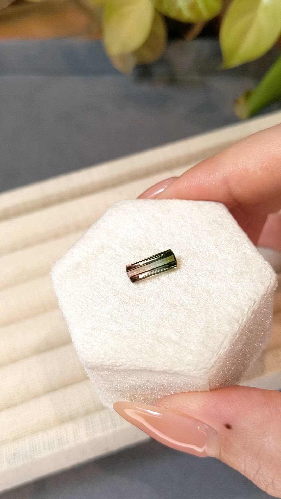 1.39 Ct. Watermelon Tourmaline from Brazil Size Video