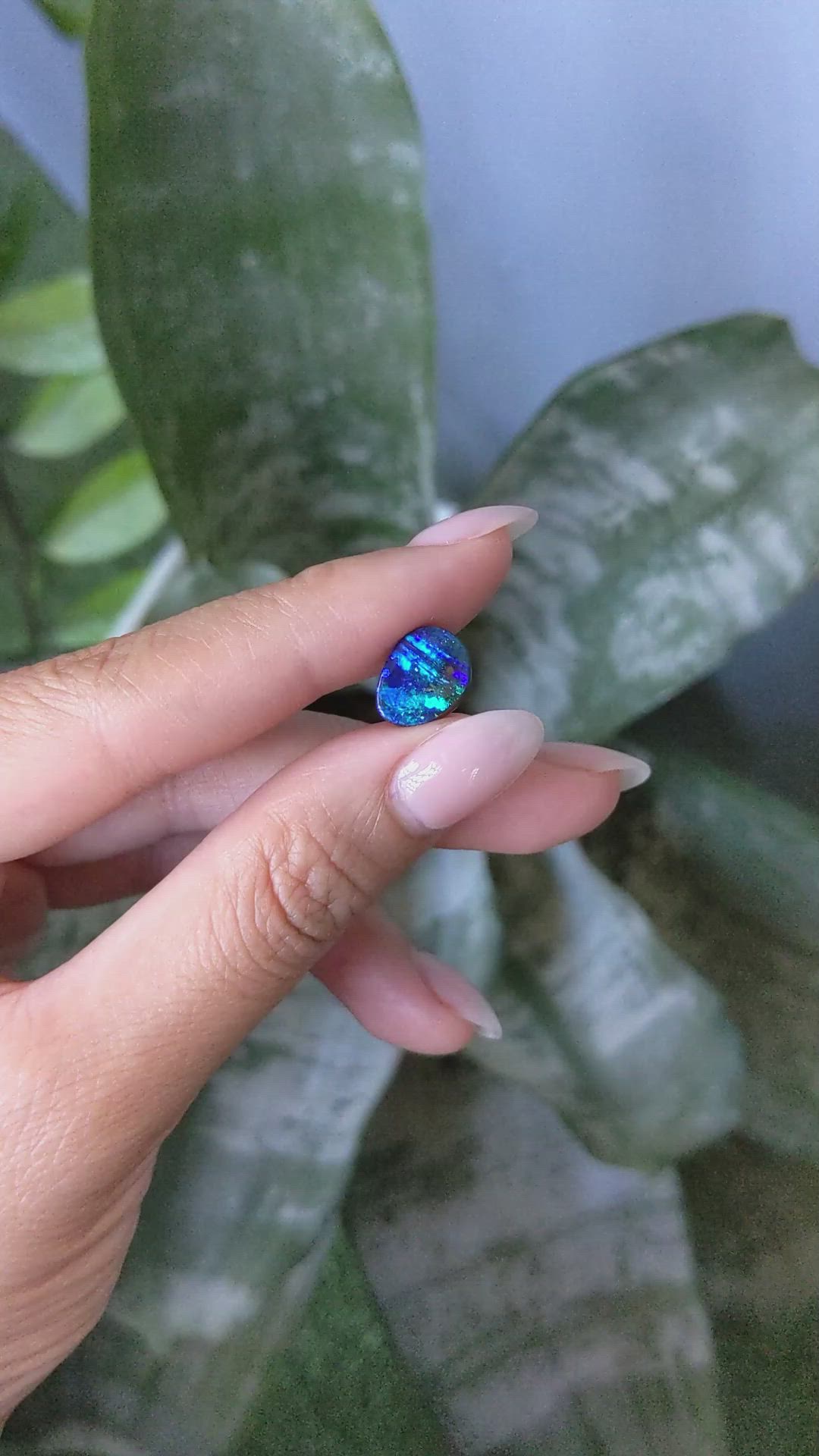 3.82 Ct. Multi Color Black Opal (Dark Opal) from Australia Size Video