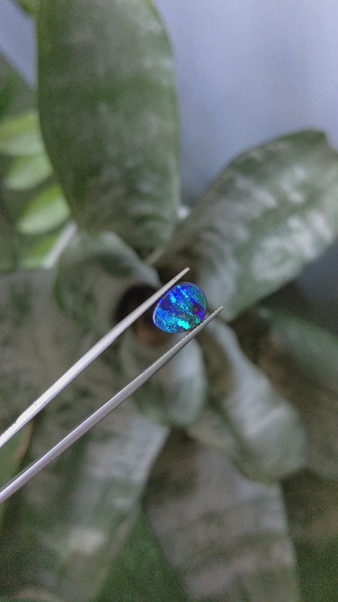 3.82 Ct. Multi Color Black Opal (Dark Opal) from Australia Size Video