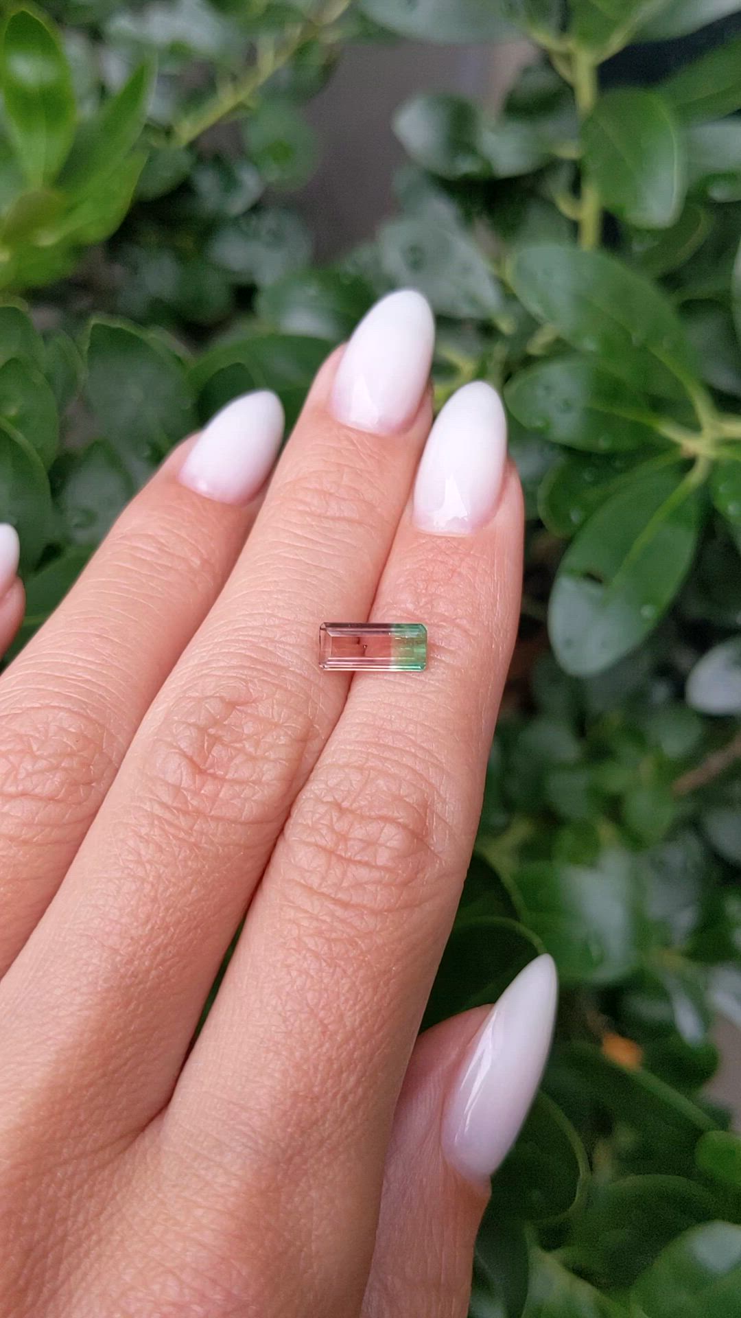 1.12 Ct. Watermelon Tourmaline from Brazil Size Video
