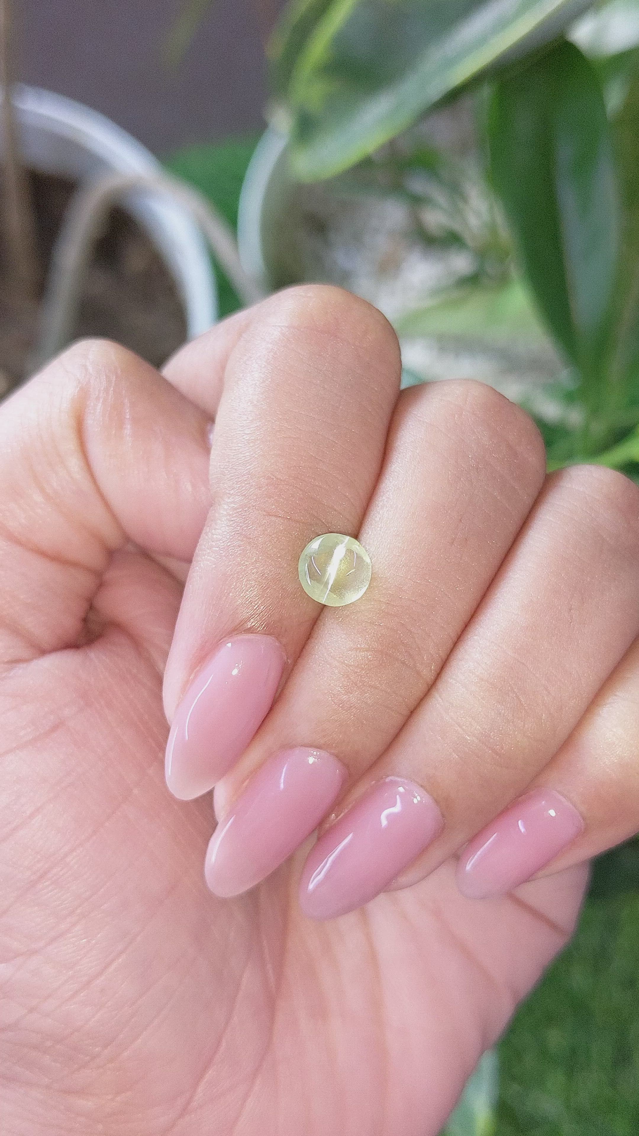 1.50 Ct. Yellowish Green Cabochon Chrysoberyl from Ceylon (Sri Lanka) Size Video