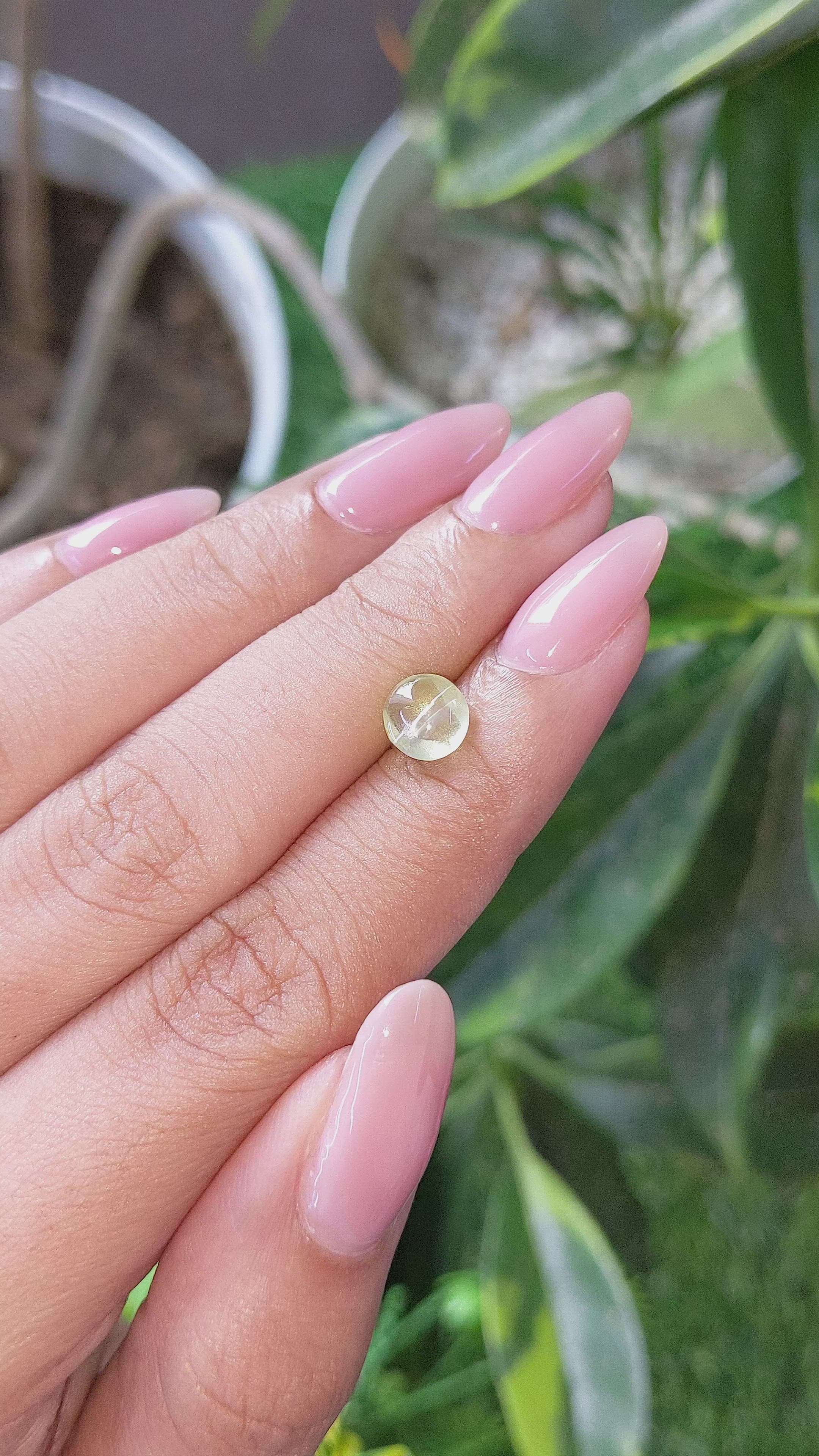 1.50 Ct. Yellowish Green Cabochon Chrysoberyl from Ceylon (Sri Lanka) Size Video