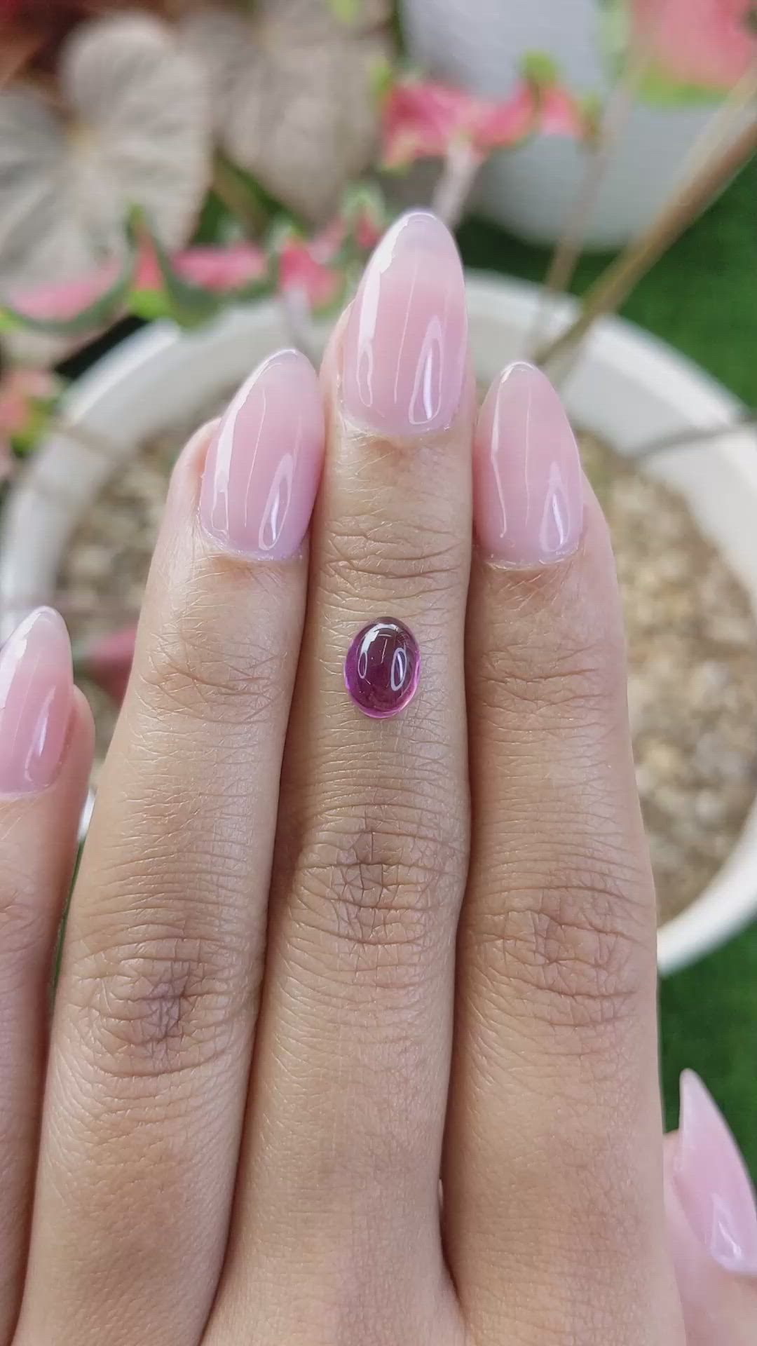 2.00 Ct. Purple Cabochon Rhodolite Garnet from Ceylon (Sri Lanka) Size Video