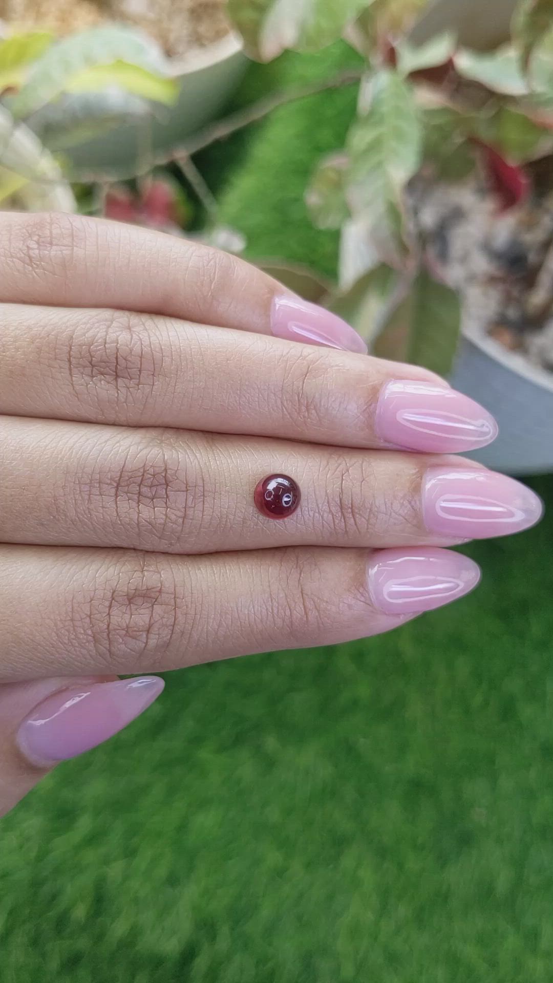1.51 Ct. Red Cabochon Almandine Garnet from Ceylon (Sri Lanka) Size Video