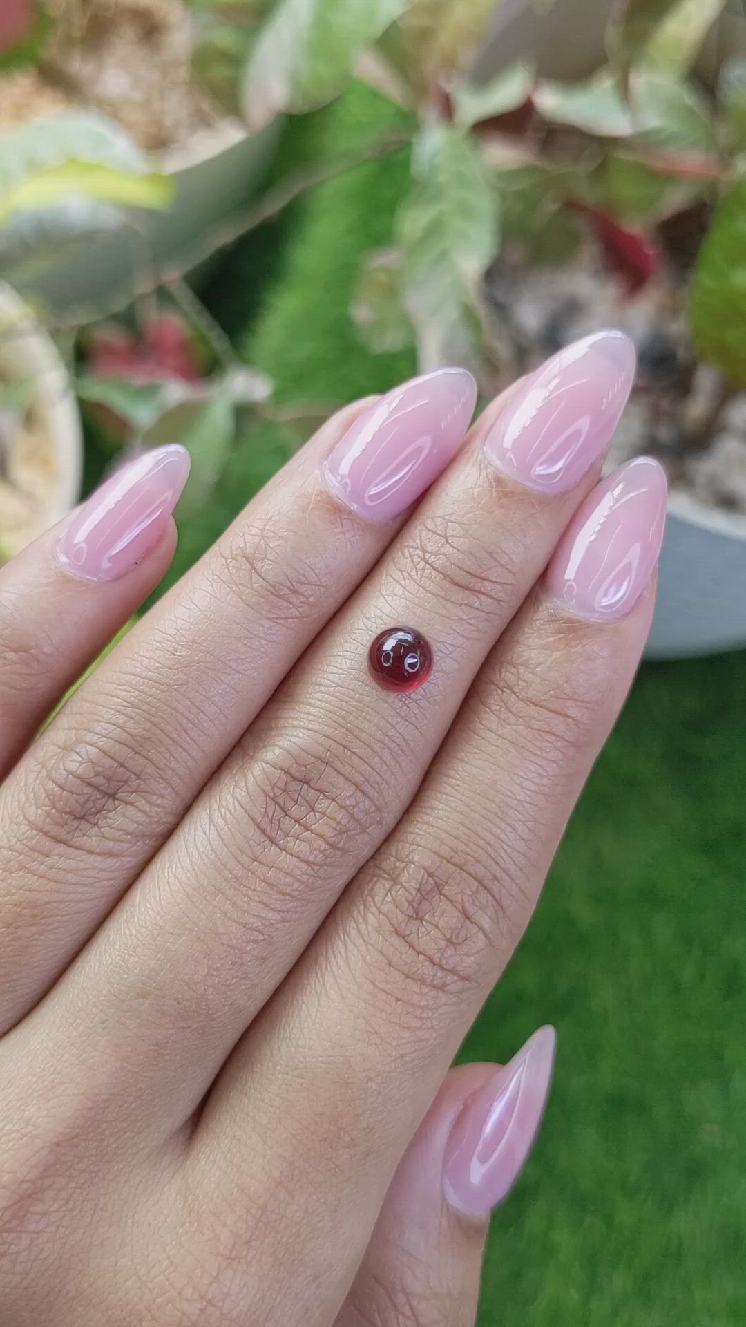 1.51 Ct. Red Cabochon Almandine Garnet from Ceylon (Sri Lanka) Size Video