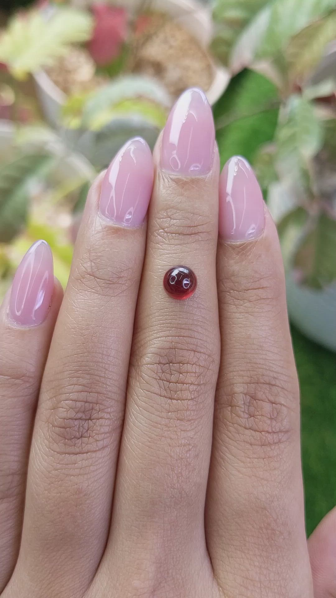 1.51 Ct. Red Cabochon Almandine Garnet from Ceylon (Sri Lanka) Size Video