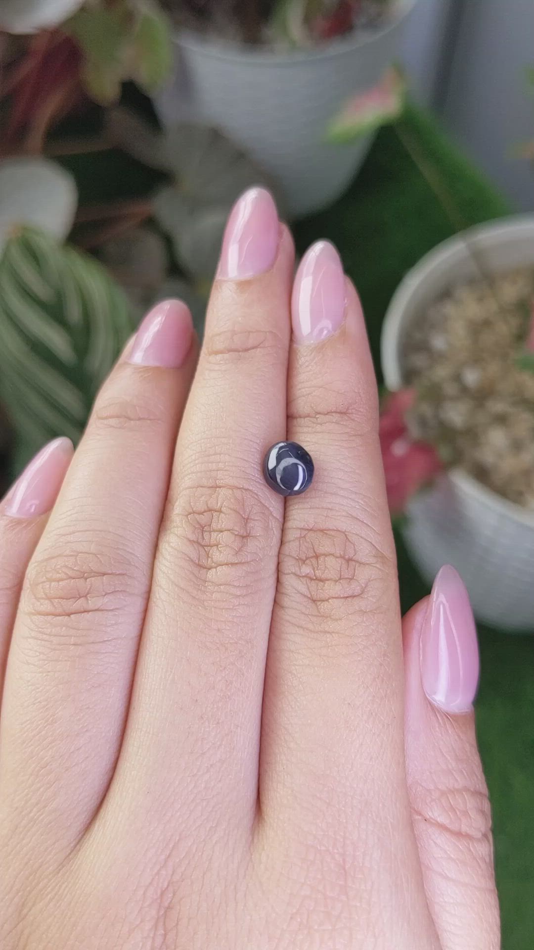 2.24 Ct. Blue Star Spinel from Ceylon (Sri Lanka) Size Video