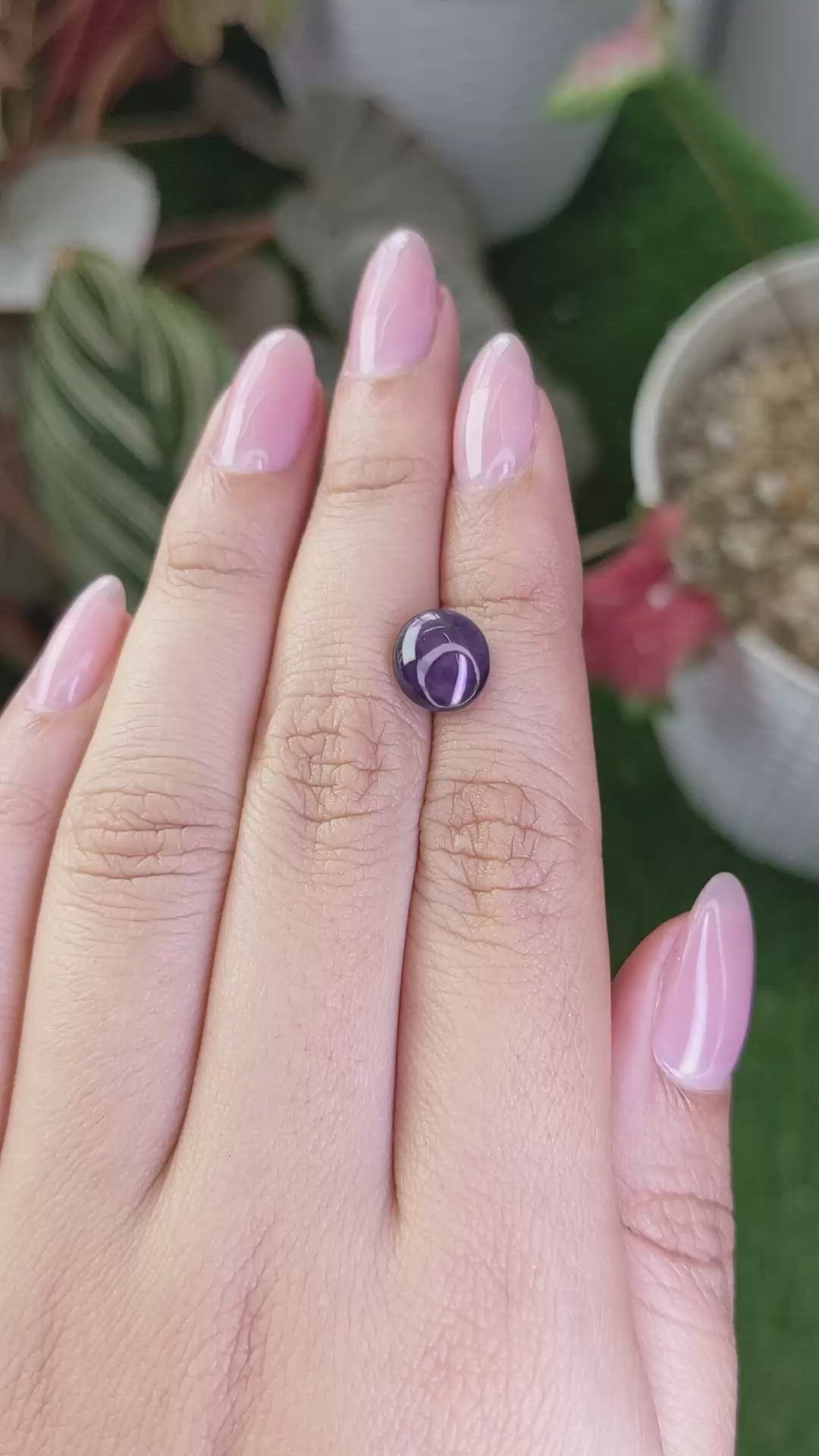 4.02 Ct. Purple Star Spinel from Ceylon (Sri Lanka) Size Video