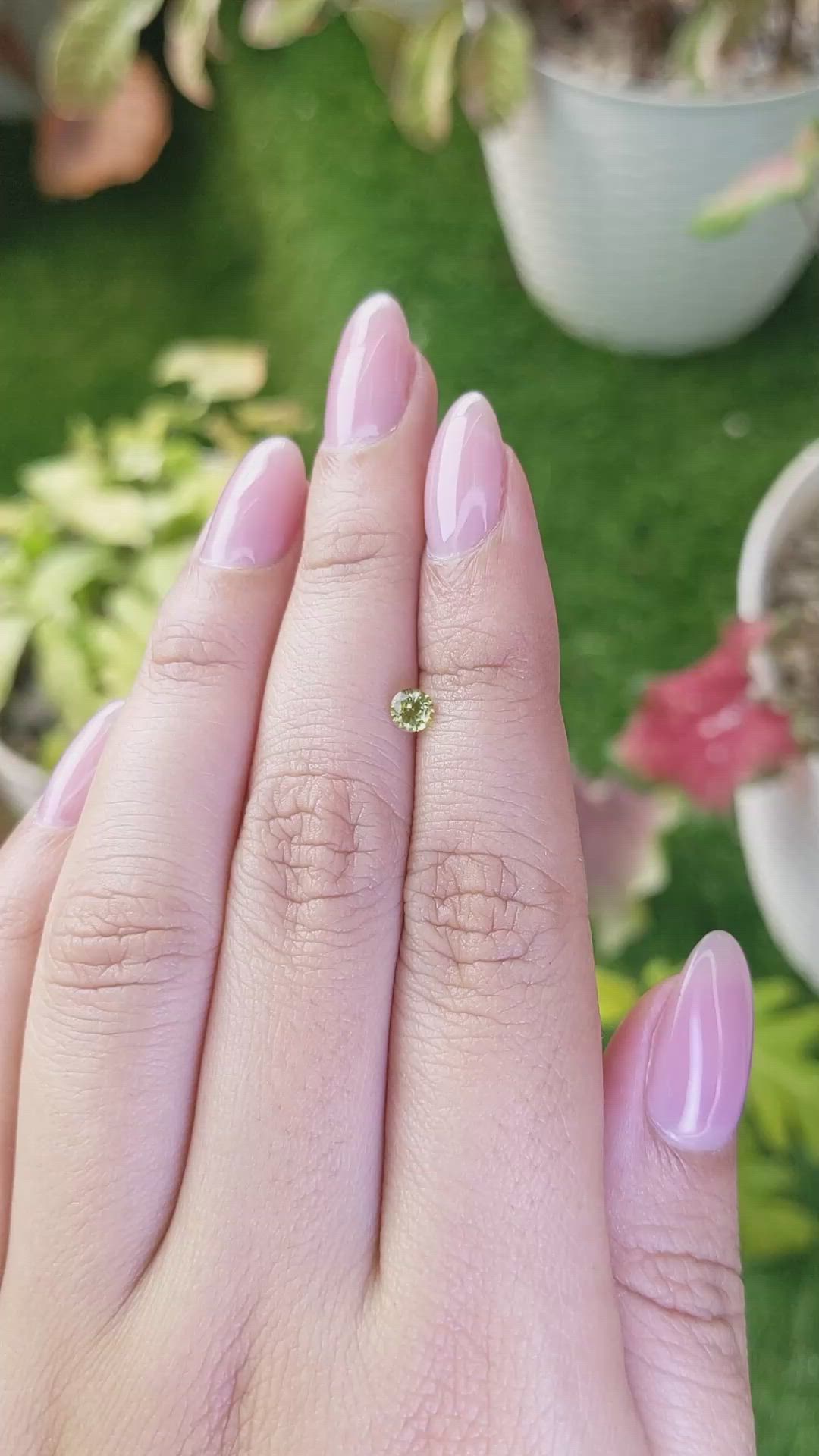 0.29 Ct. Yellowish Green Chrysoberyl from Ceylon (Sri Lanka) Size Video