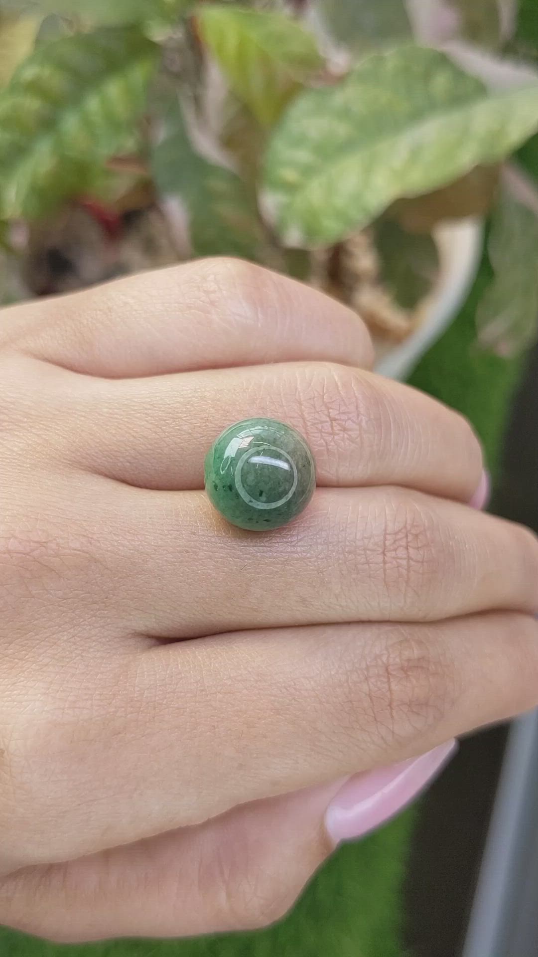 13.18 Ct. Bluish Green Jade from Burma (Myanmar) Size Video
