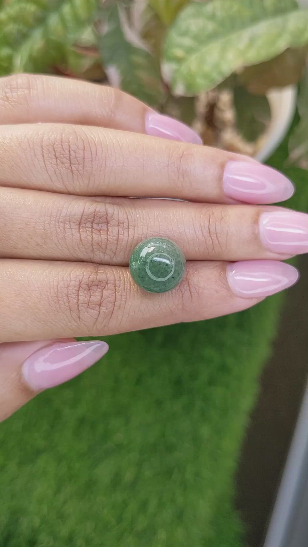 13.18 Ct. Bluish Green Jade from Burma (Myanmar) Size Video