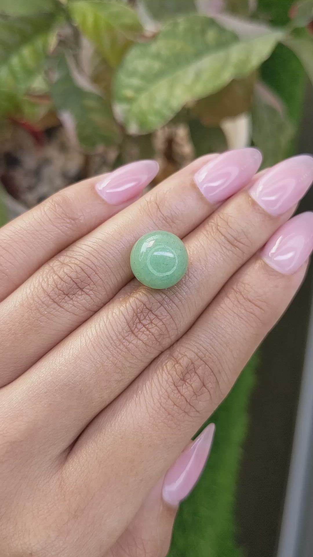 12.15 Ct. Green Jade from Burma (Myanmar) Size Video