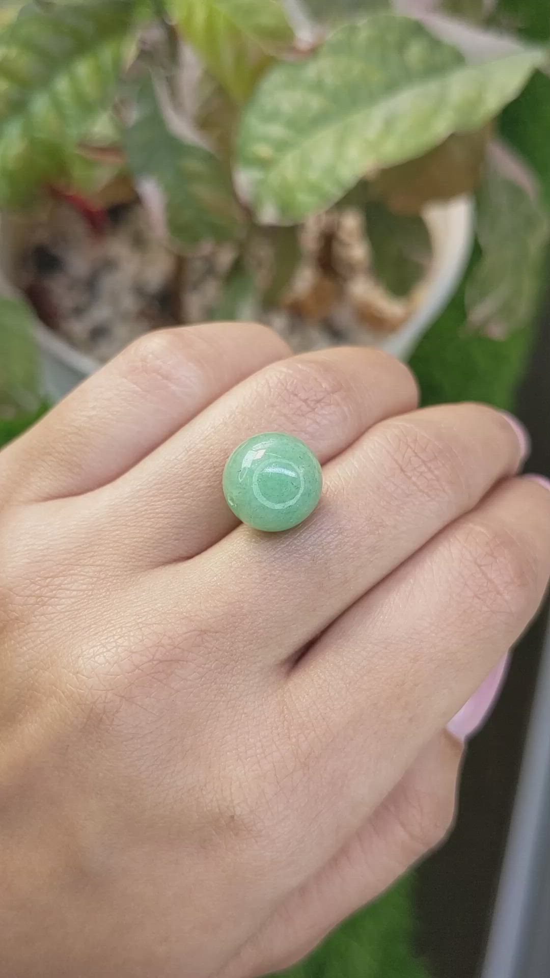 12.15 Ct. Green Jade from Burma (Myanmar) Size Video