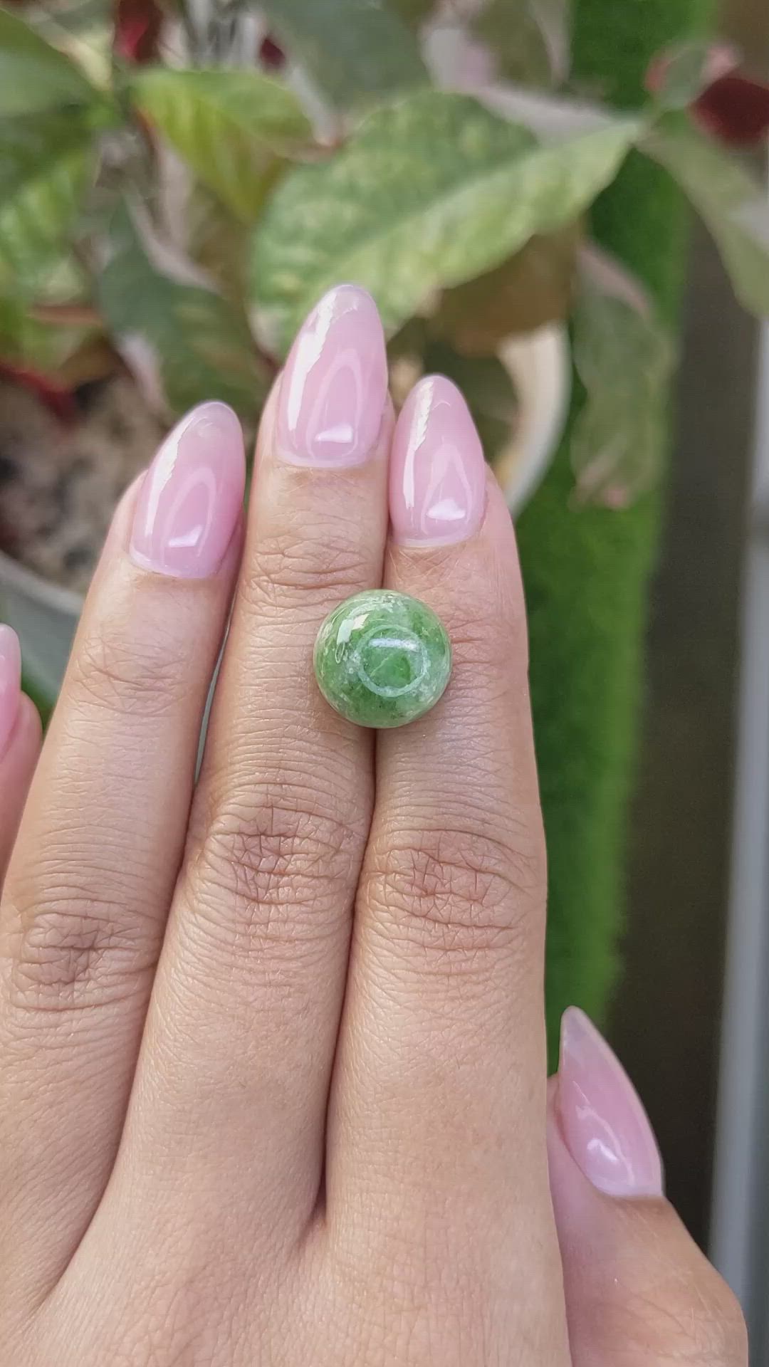 13.15 Ct. Green Jade from Burma (Myanmar) Size Video
