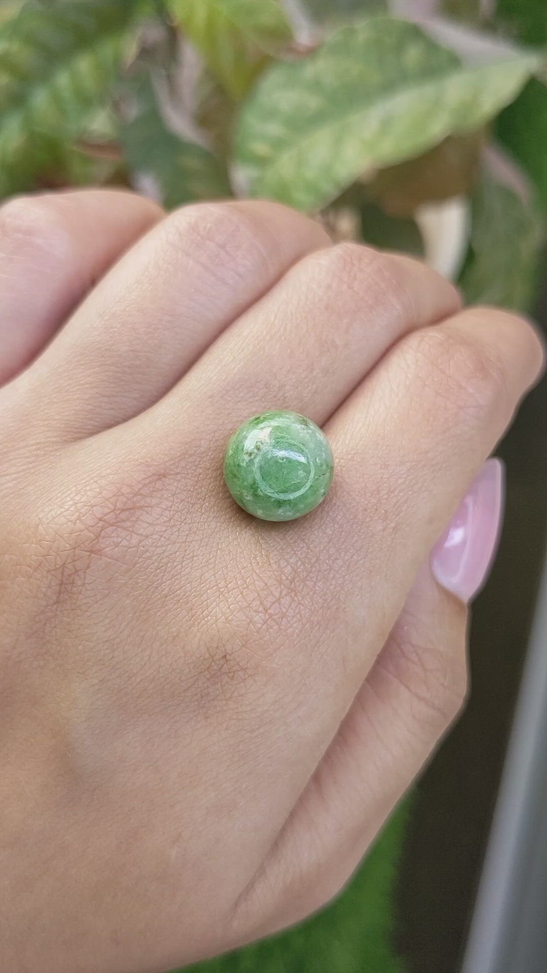 13.15 Ct. Green Jade from Burma (Myanmar) Size Video