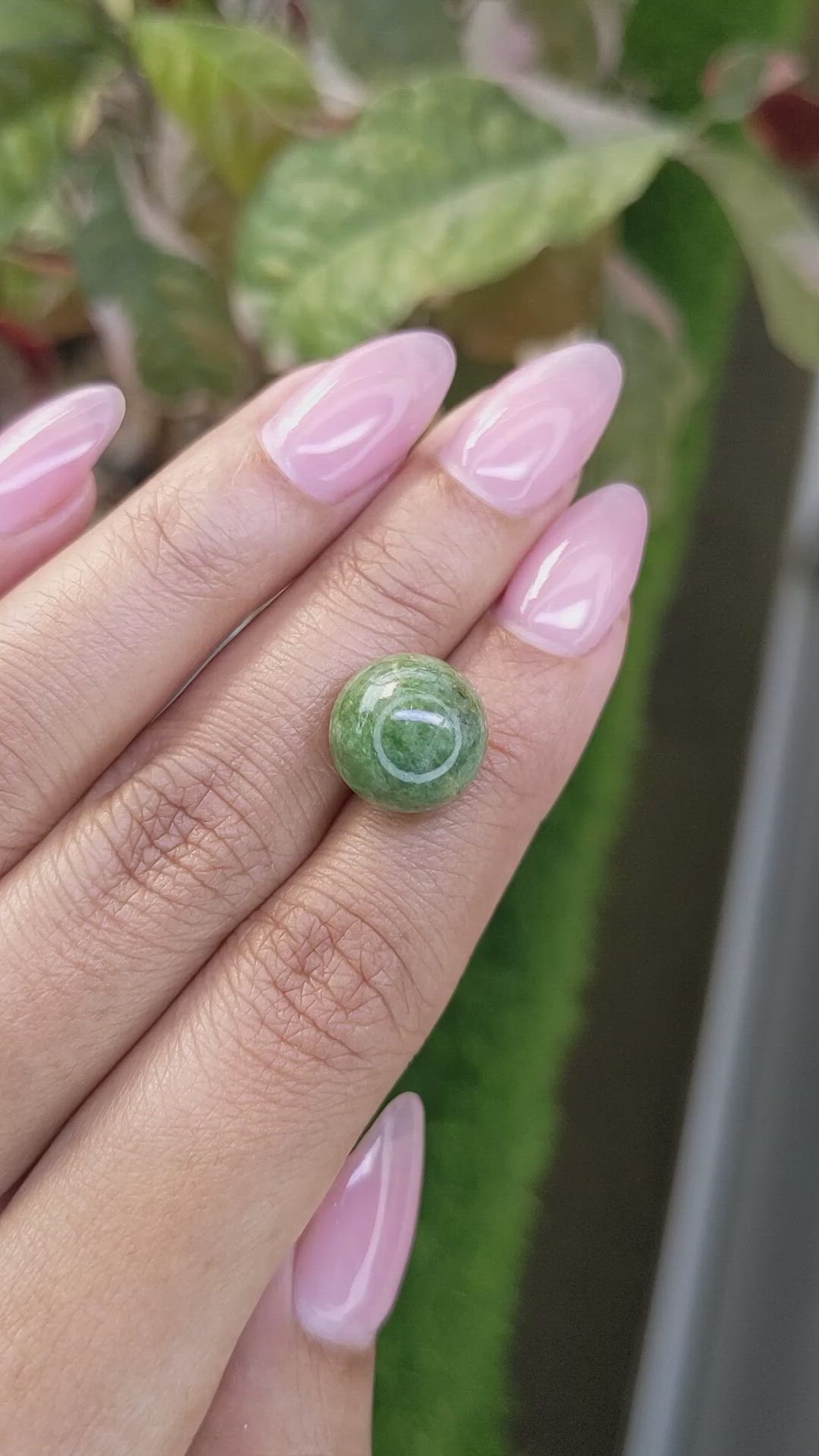 13.14 Ct. Yellowish Green Jade from Burma (Myanmar) Size Video