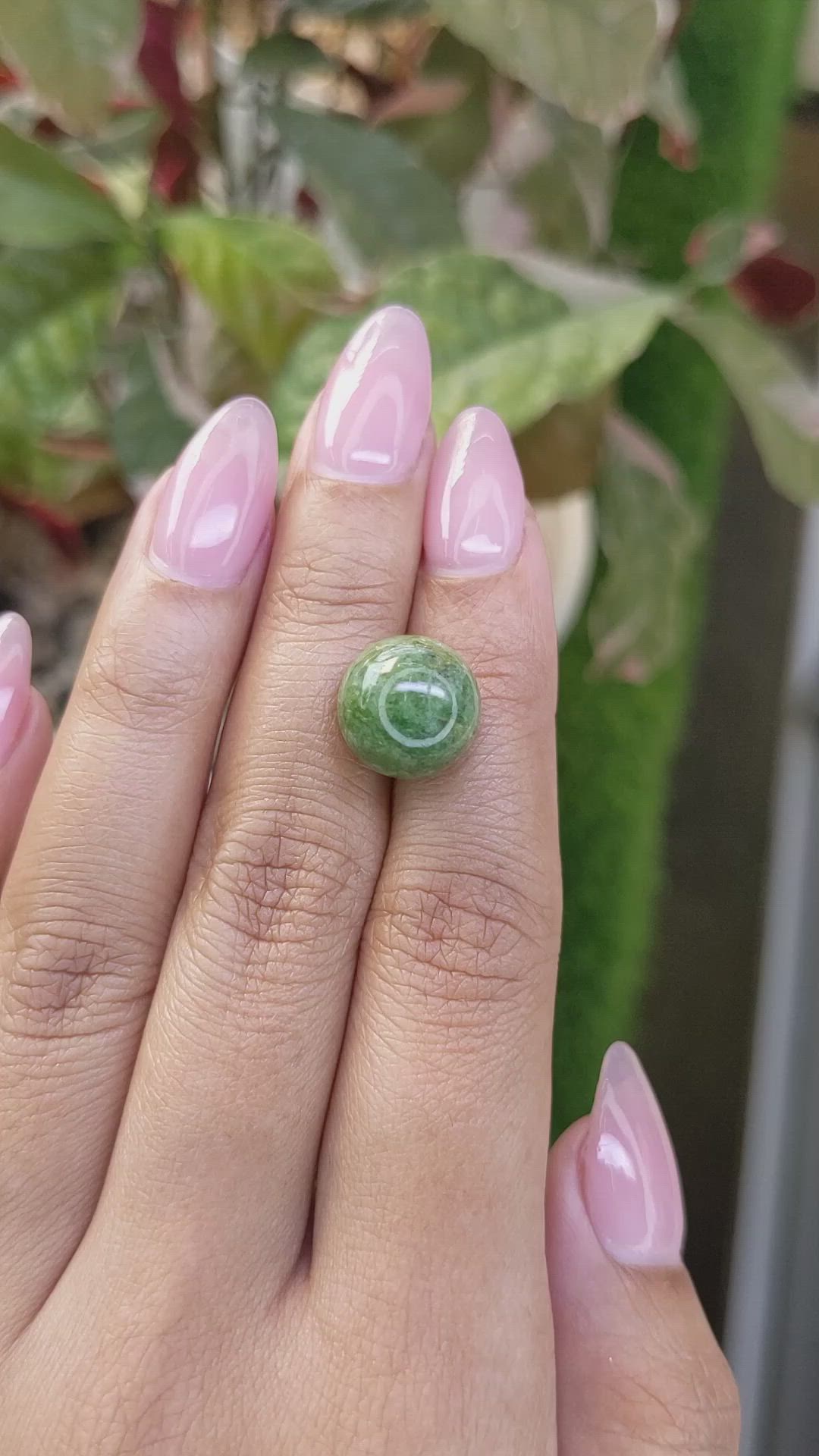 13.14 Ct. Yellowish Green Jade from Burma (Myanmar) Size Video
