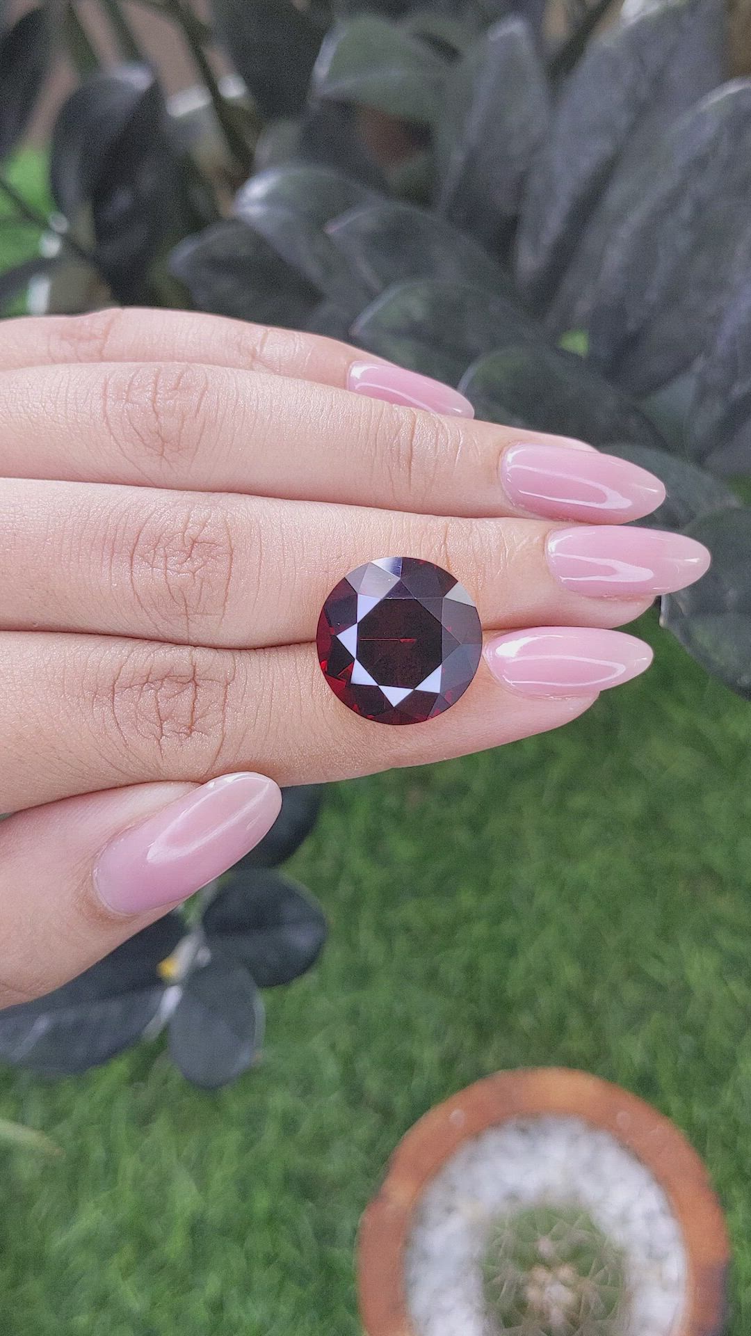 19.33 Ct. Red Garnet from Ceylon (Sri Lanka) Size Video