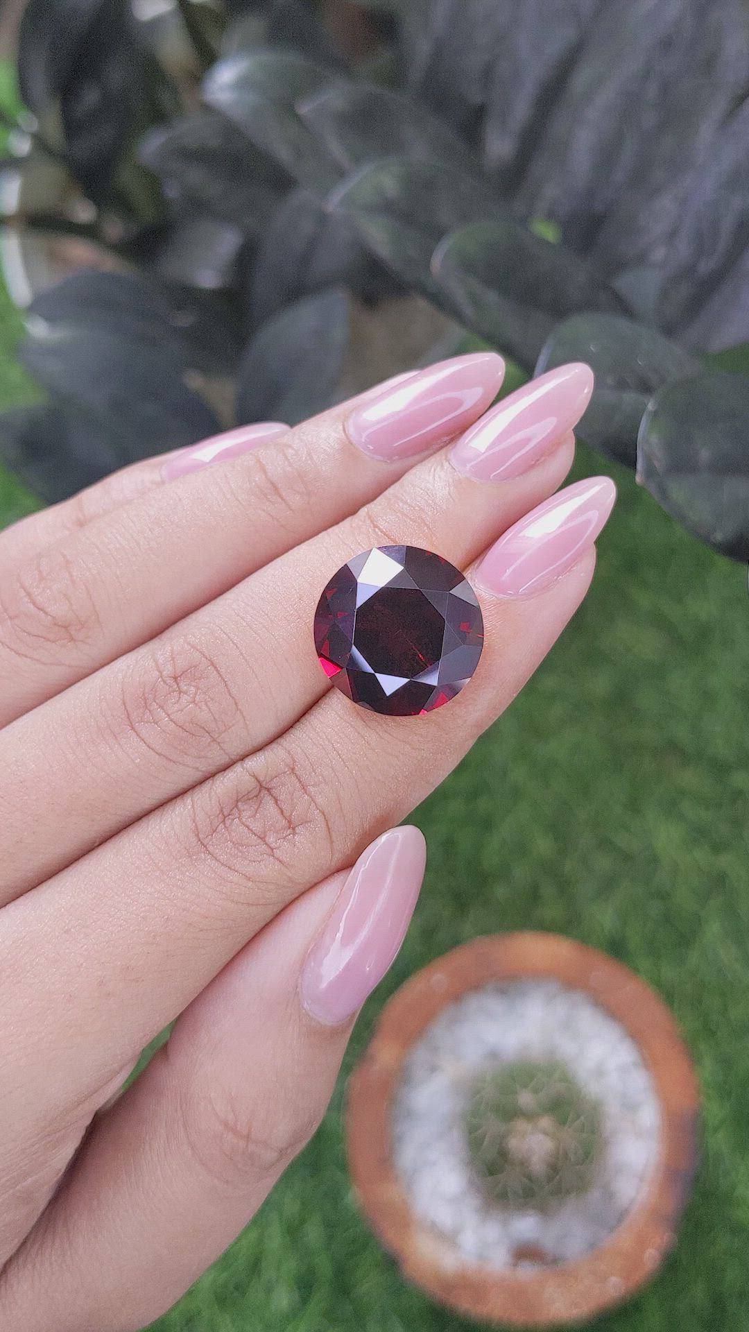 19.33 Ct. Red Garnet from Ceylon (Sri Lanka) Size Video
