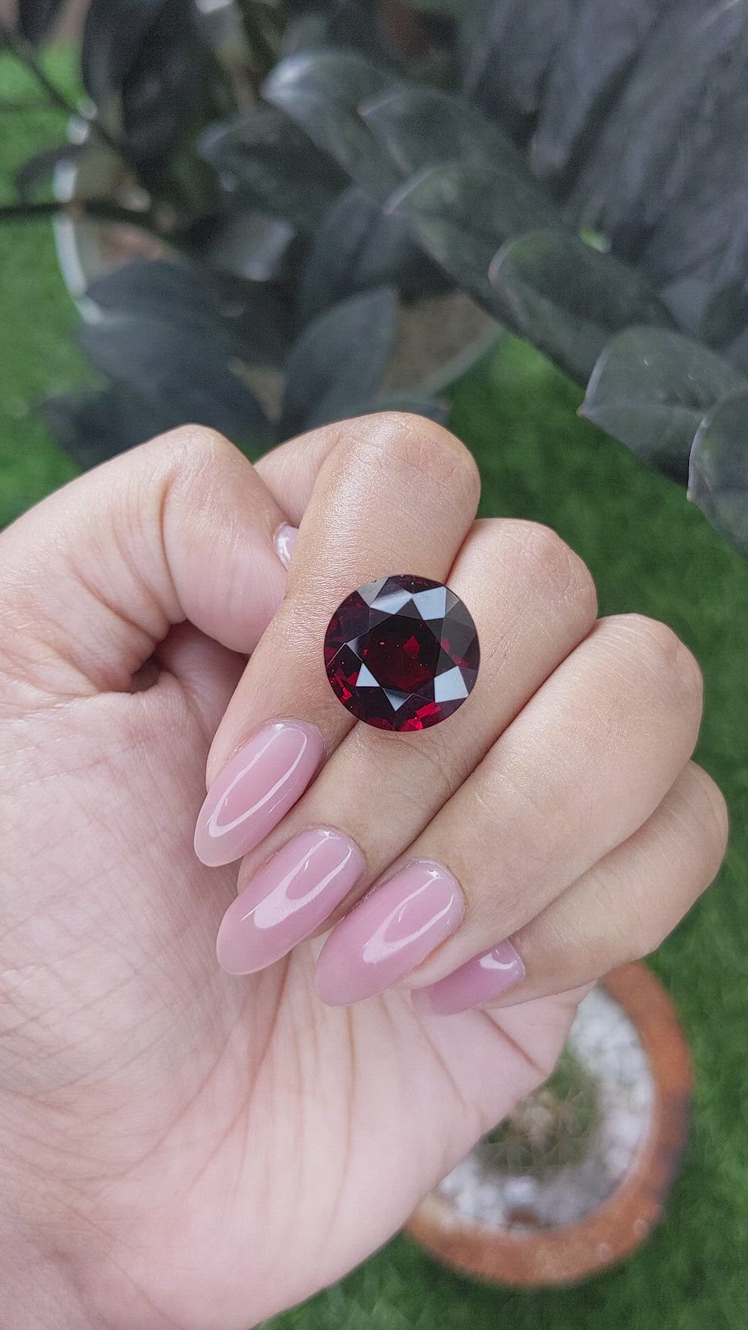 16.79 Ct. Red Garnet from Ceylon (Sri Lanka) Size Video