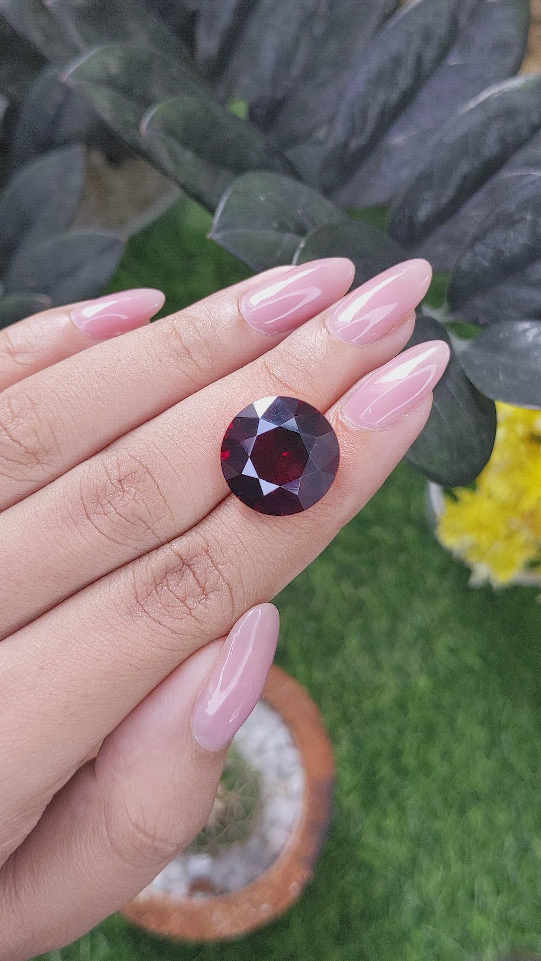 15.35 Ct. Red Garnet from Ceylon (Sri Lanka) Size Video