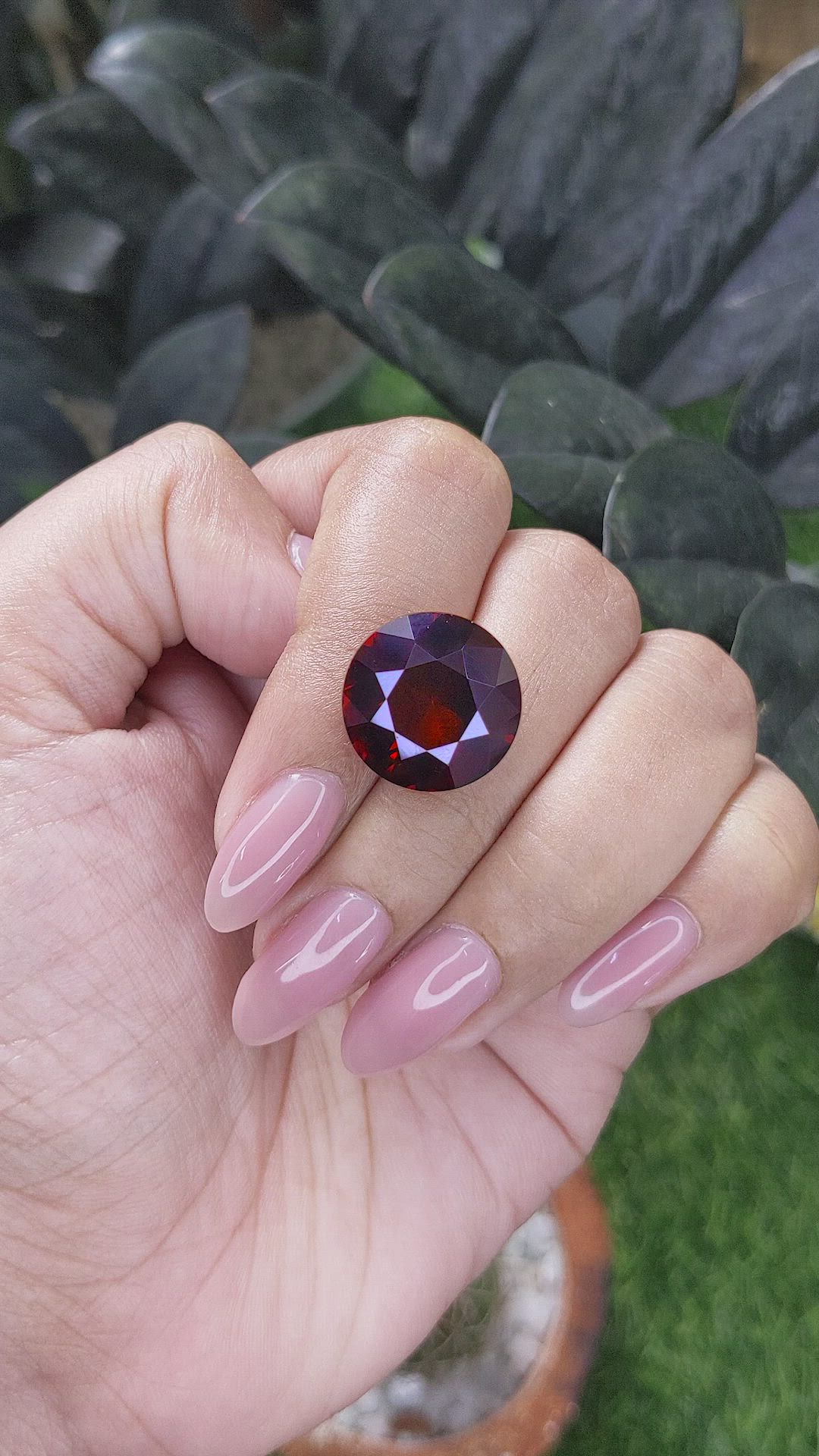15.35 Ct. Red Garnet from Ceylon (Sri Lanka) Size Video