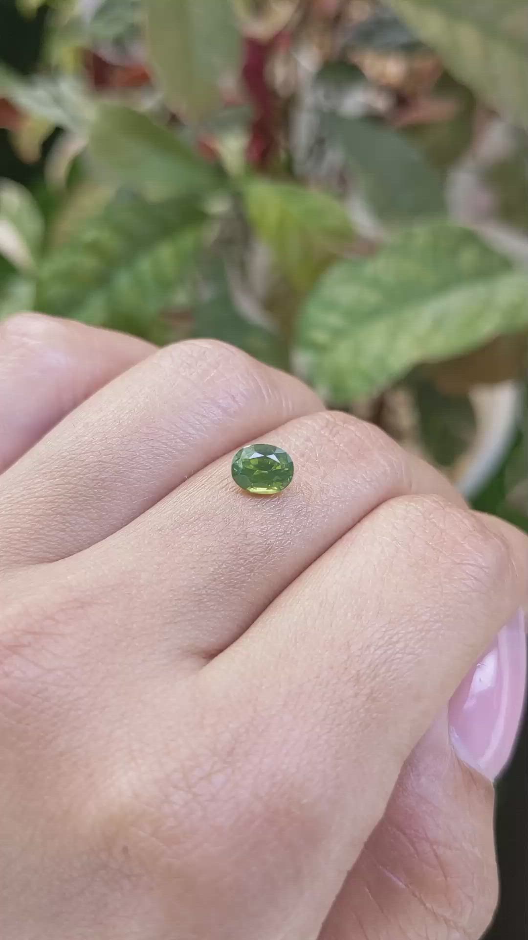 1.17 Ct. Yellowish Green Zircon from Ceylon (Sri Lanka) Size Video