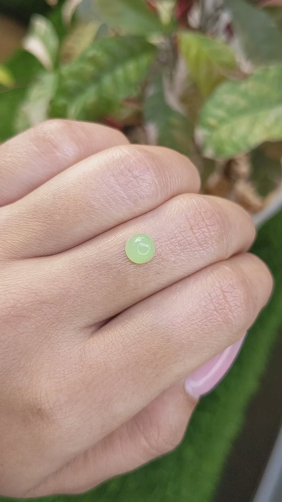 1.31 Ct. Green Cabochon Jade from Burma (Myanmar) Size Video