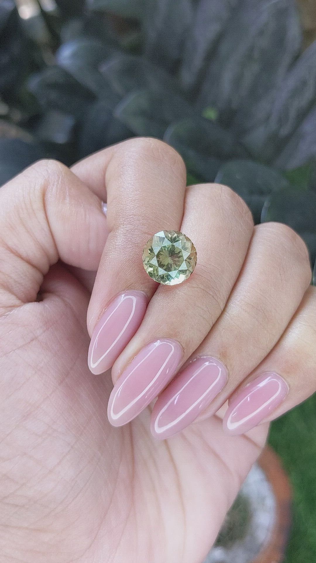 4.43 Ct. Greenish Yellow Tourmaline from Republic of Congo Size Video