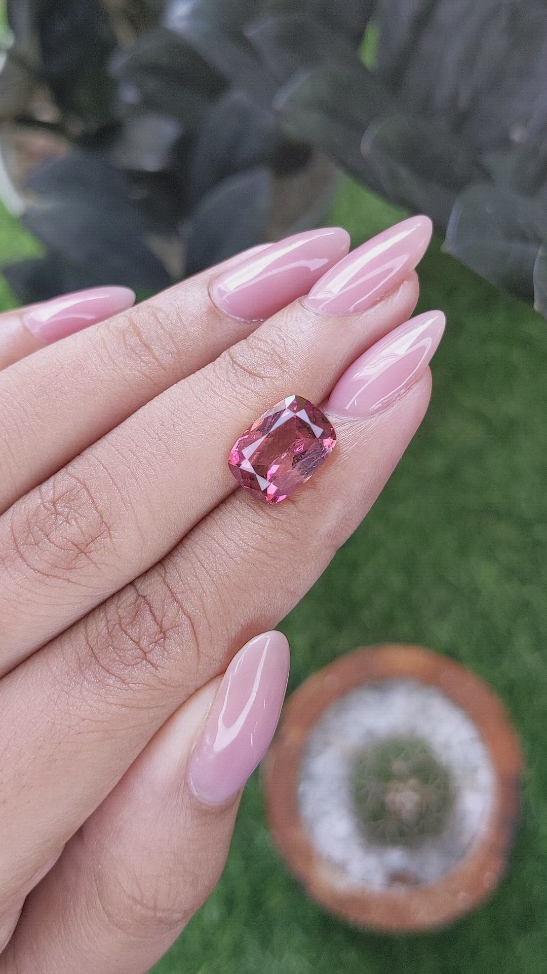 4.05 Ct. Pink Tourmaline from Ceylon (Sri Lanka) Size Video