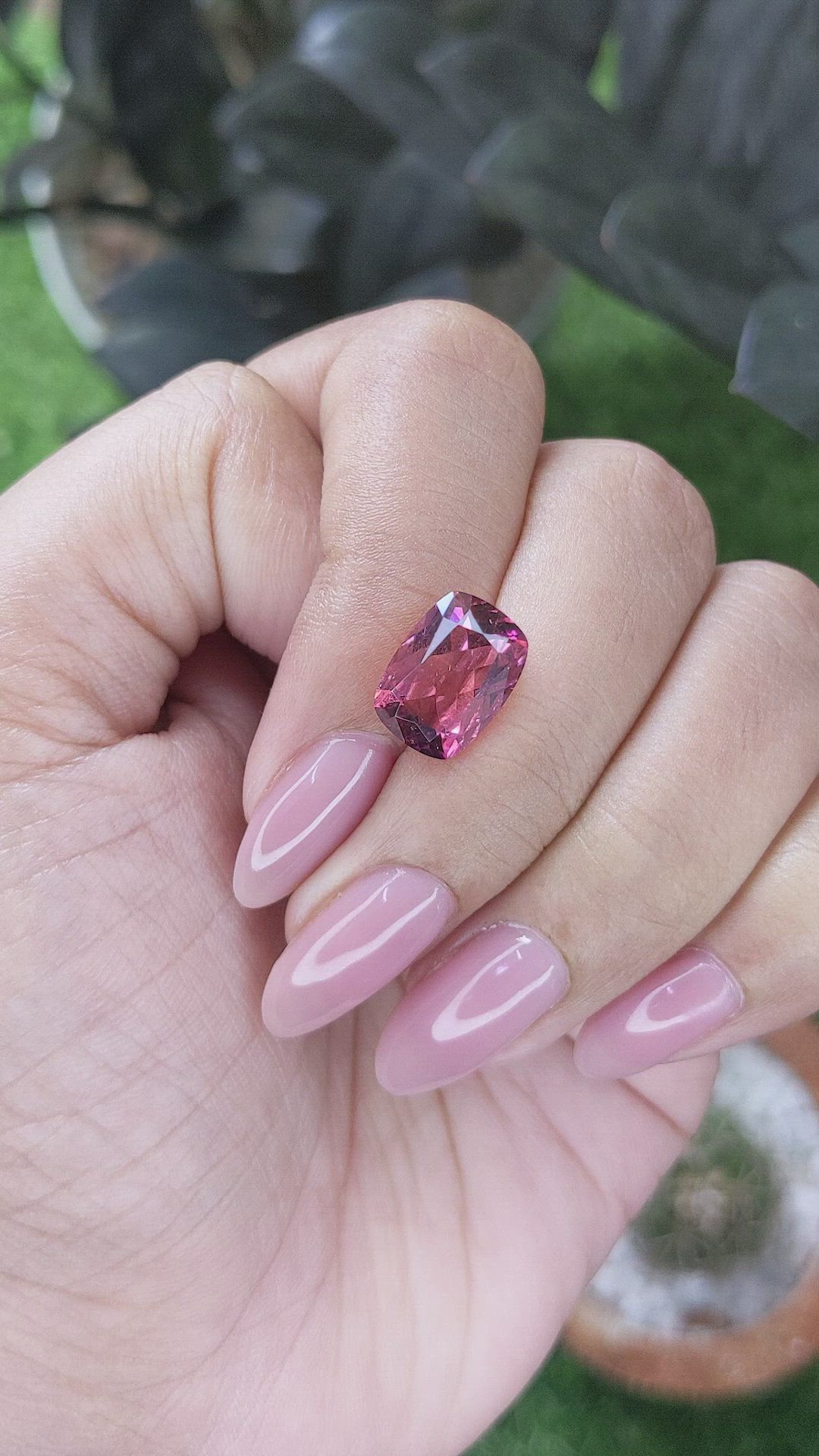 4.05 Ct. Pink Tourmaline from Ceylon (Sri Lanka) Size Video