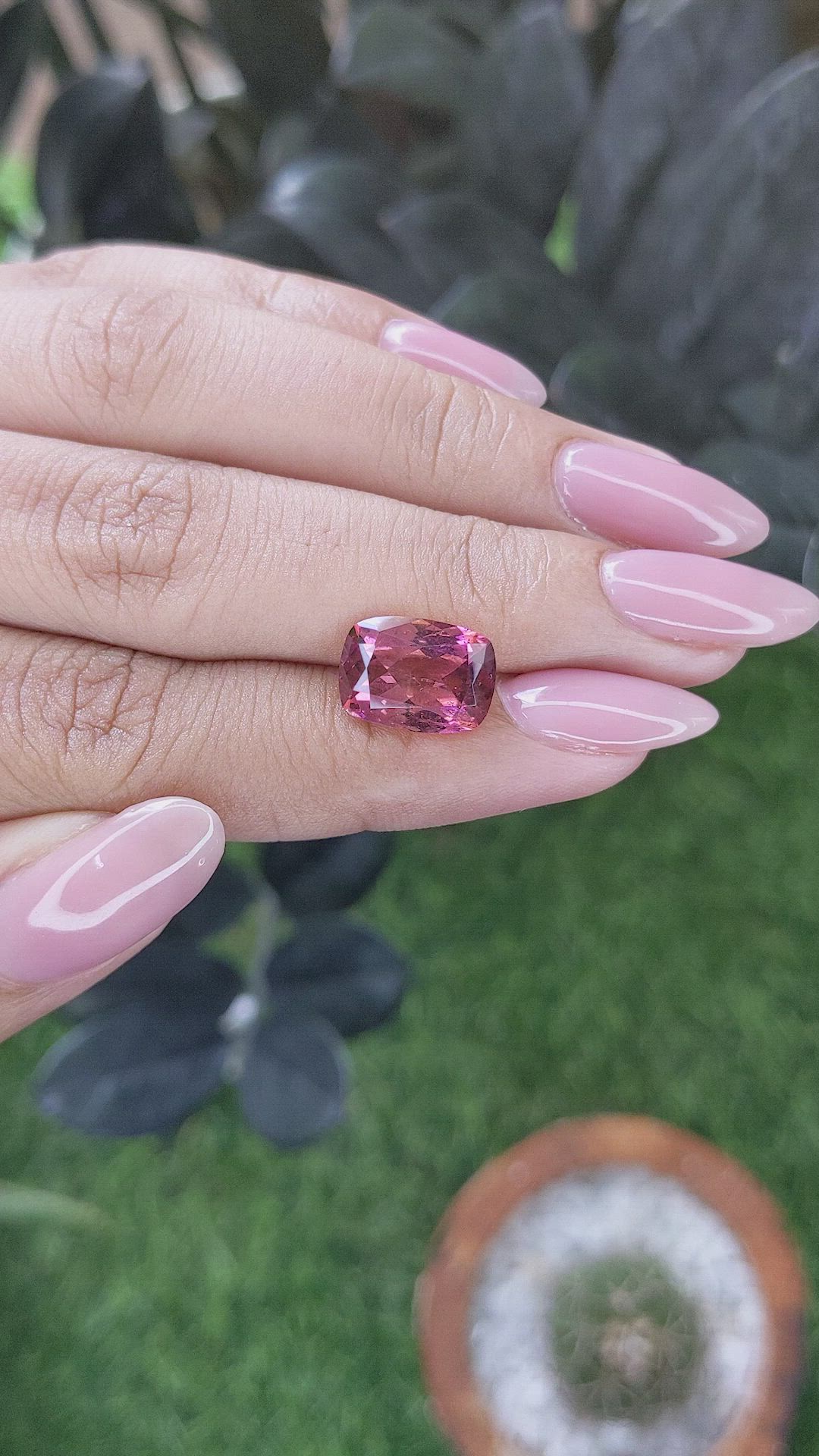 4.05 Ct. Pink Tourmaline from Ceylon (Sri Lanka) Size Video
