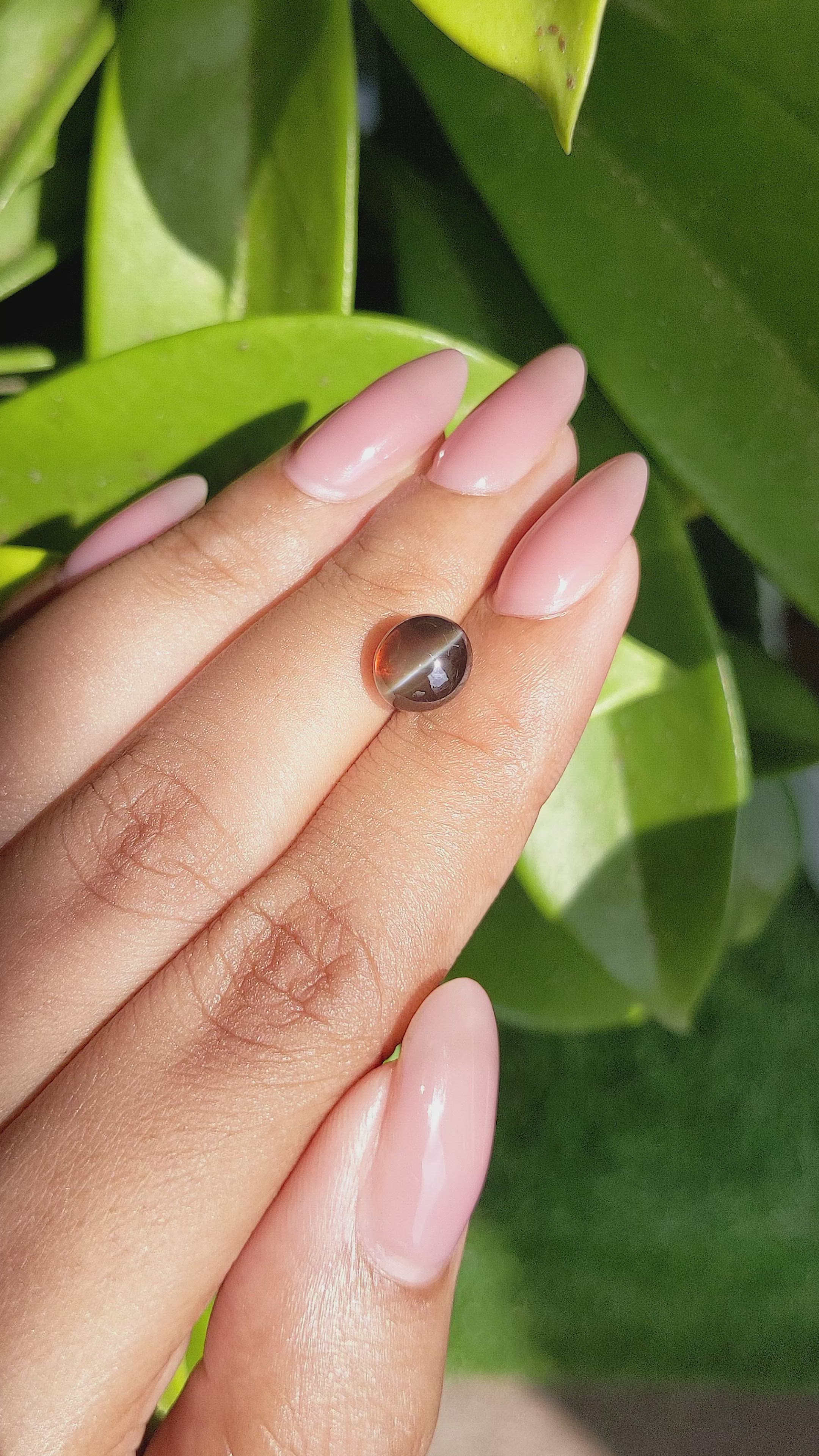 3.70 Ct. Greenish Brown Cabochon Chrysoberyl from Ceylon (Sri Lanka) Size Video