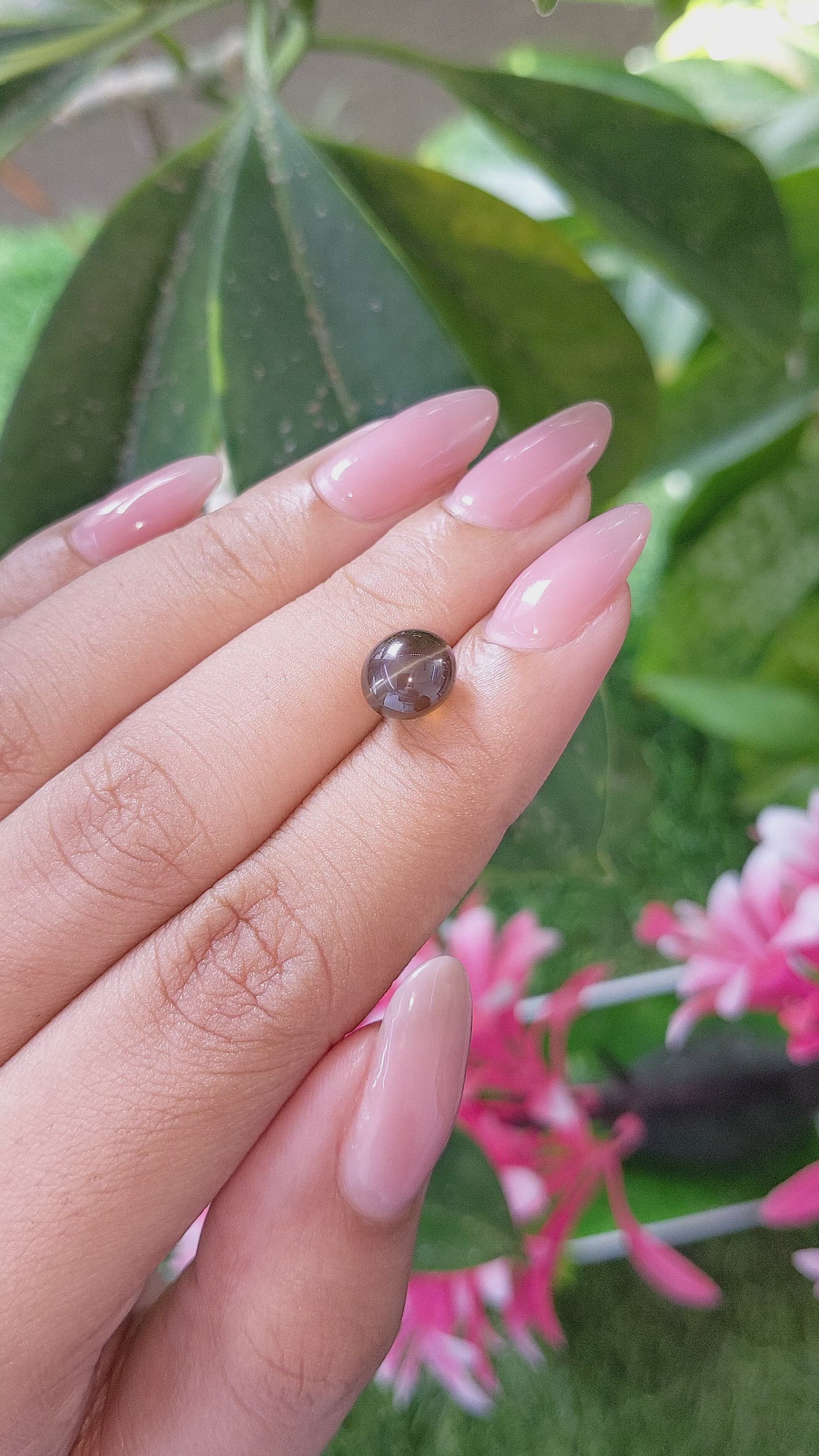 3.70 Ct. Greenish Brown Cabochon Chrysoberyl from Ceylon (Sri Lanka) Size Video