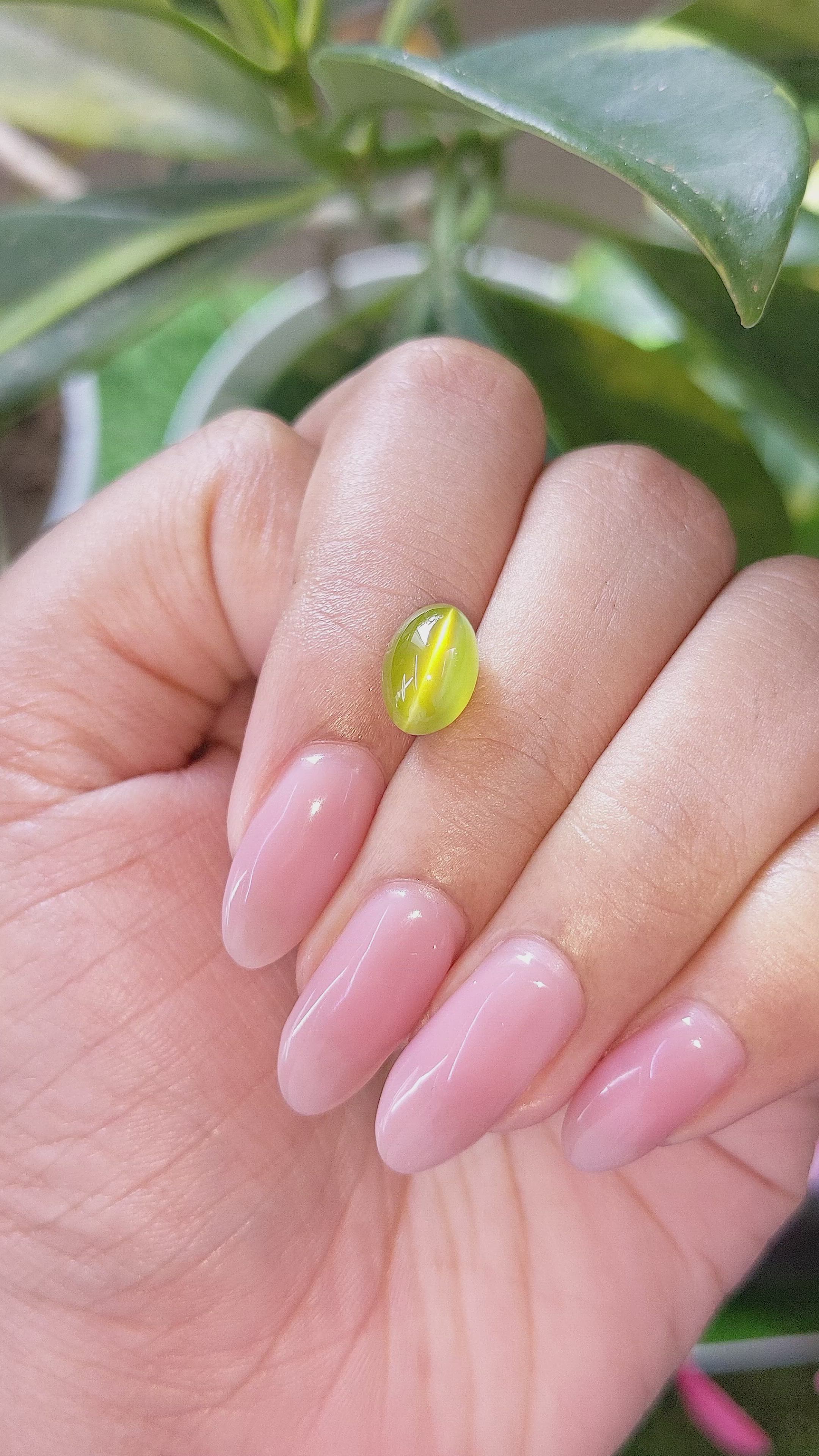 4.50 Ct. Yellowish Green Cabochon Chrysoberyl from India Size Video