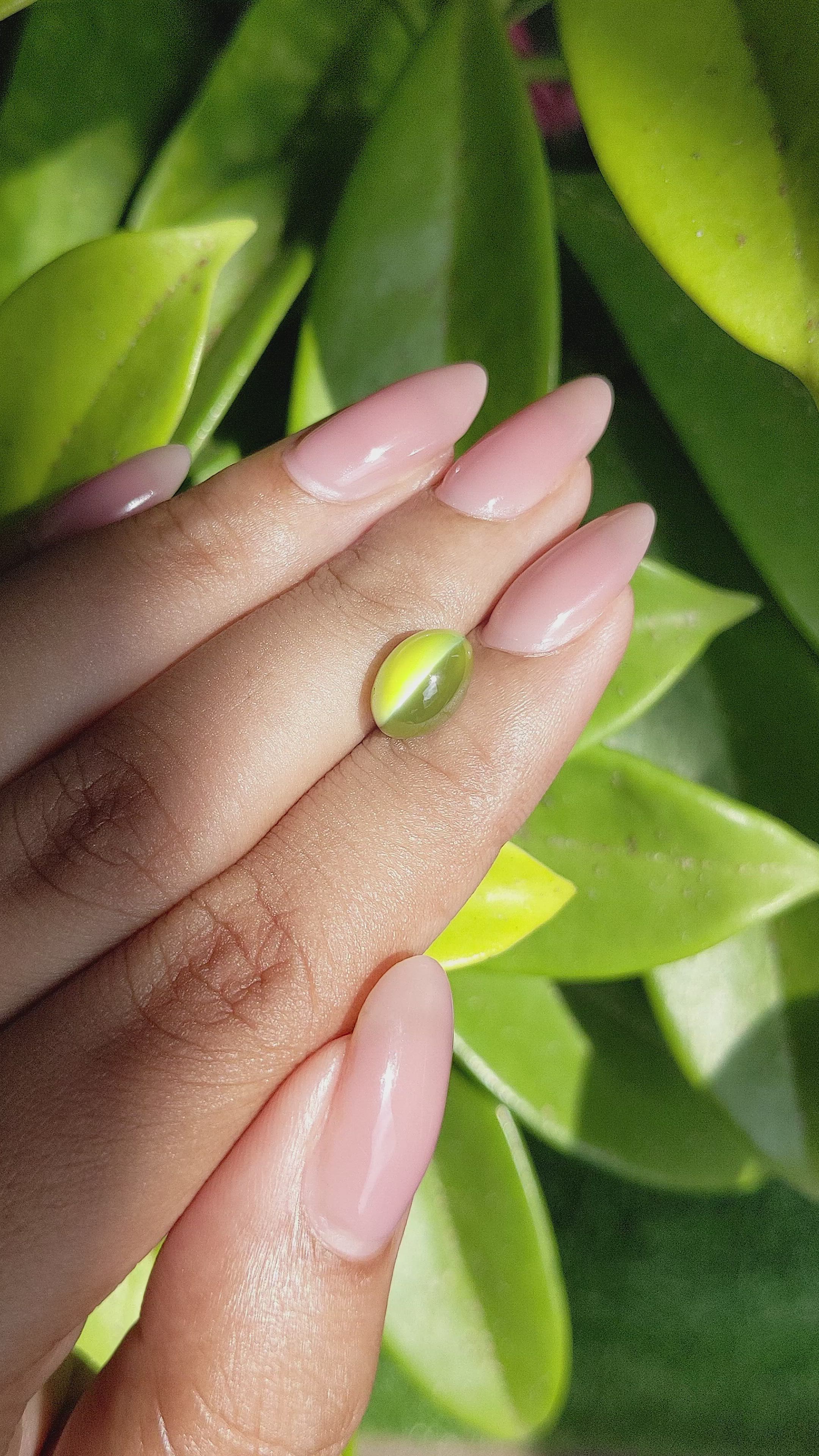 4.50 Ct. Yellowish Green Cabochon Chrysoberyl from India Size Video