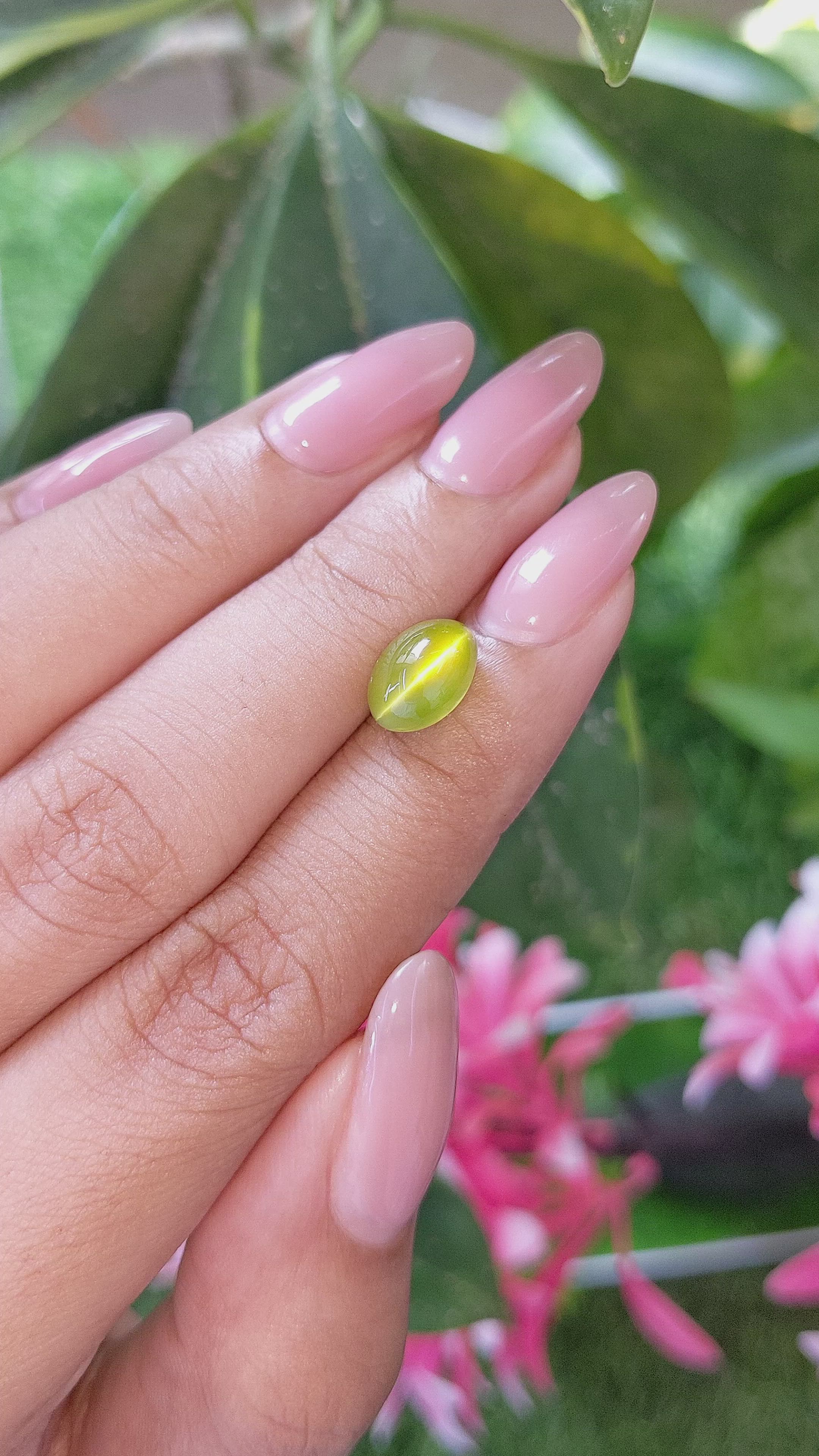 4.50 Ct. Yellowish Green Cabochon Chrysoberyl from India Size Video