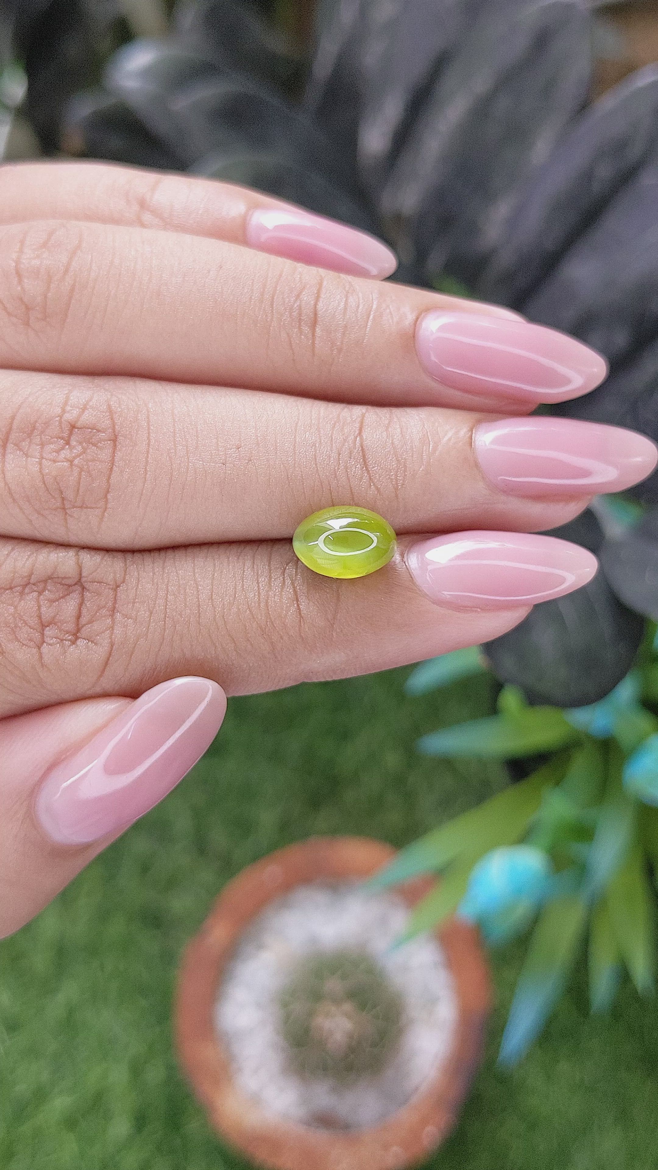4.50 Ct. Yellowish Green Cabochon Chrysoberyl from India Size Video