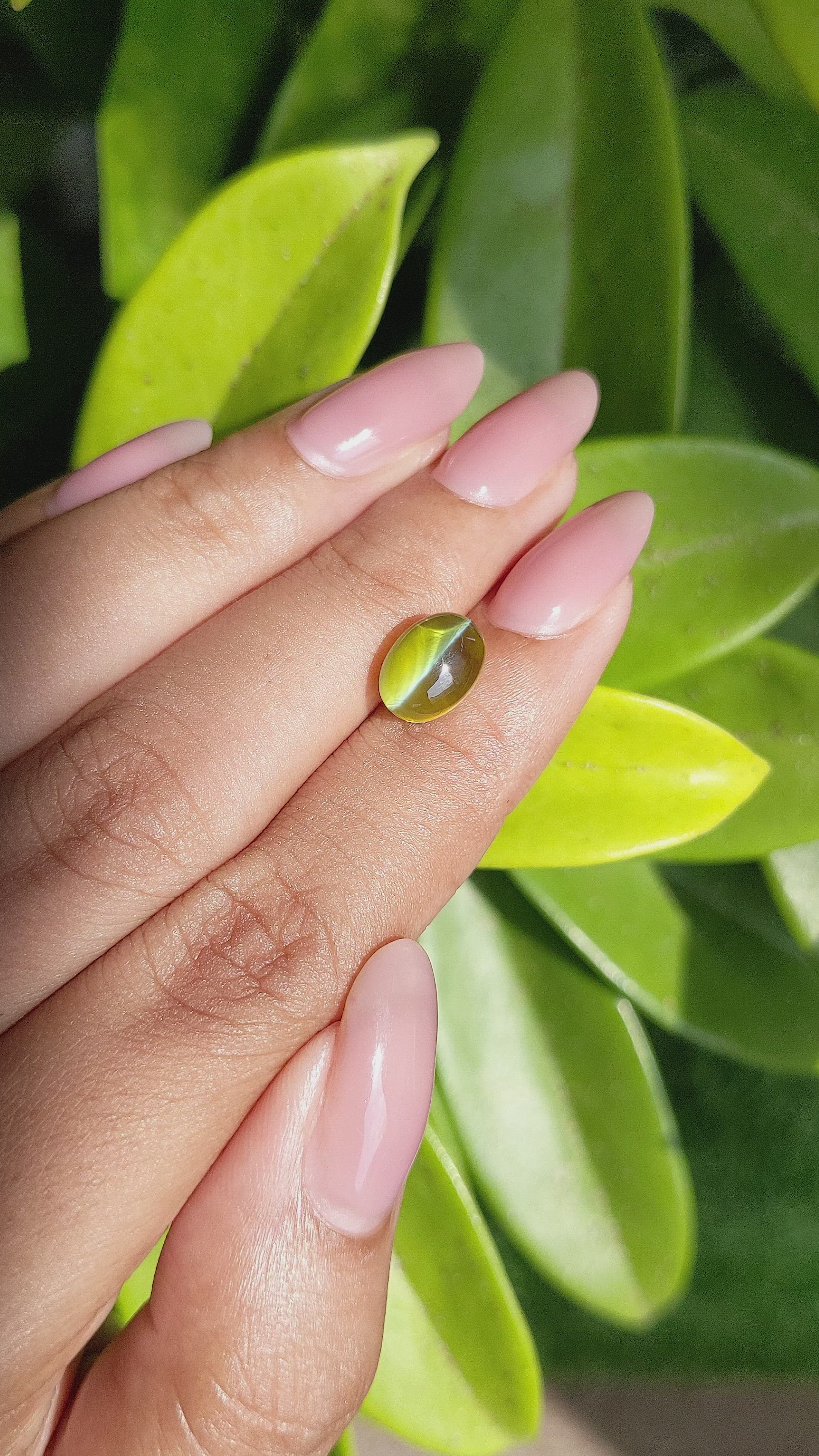 4.58 Ct. Yellowish Green Cabochon Chrysoberyl from Madagascar Size Video